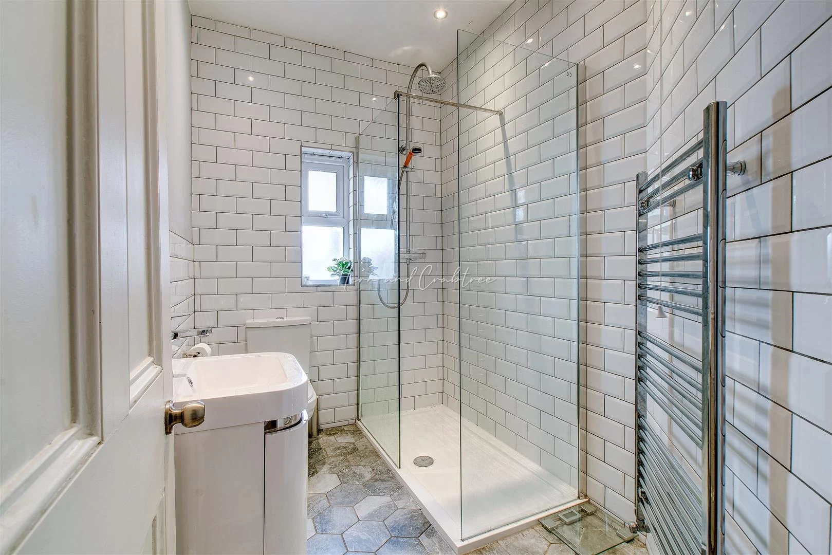 Dogo Street, Pontcanna, HernCrabtree (23).jpg