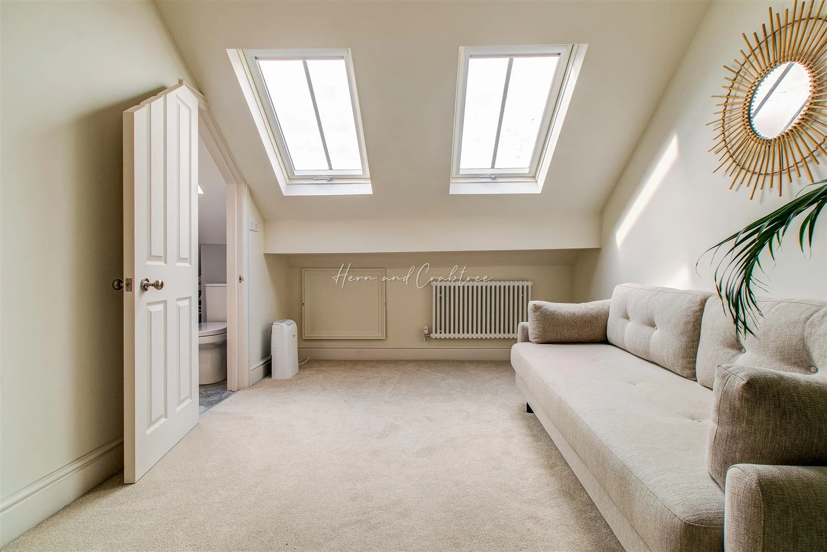 Dogo Street, Pontcanna, HernCrabtree (4).jpg