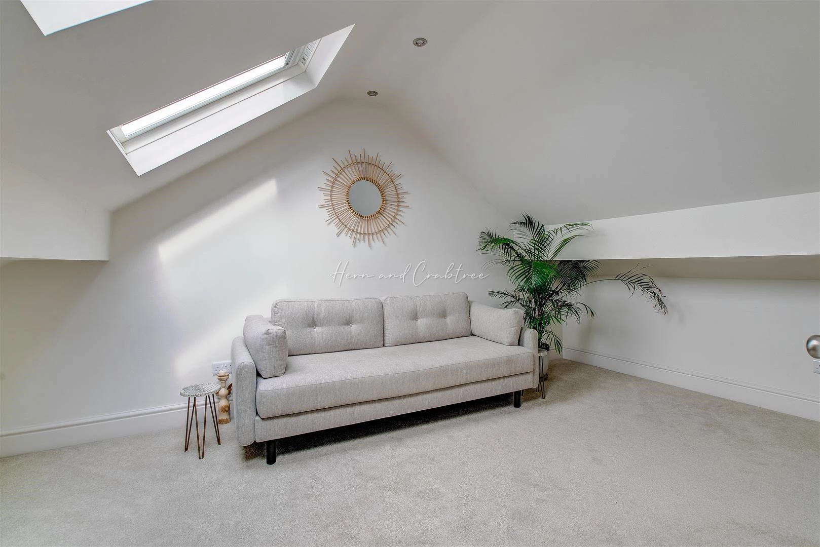 Dogo Street, Pontcanna, HernCrabtree (5).jpg