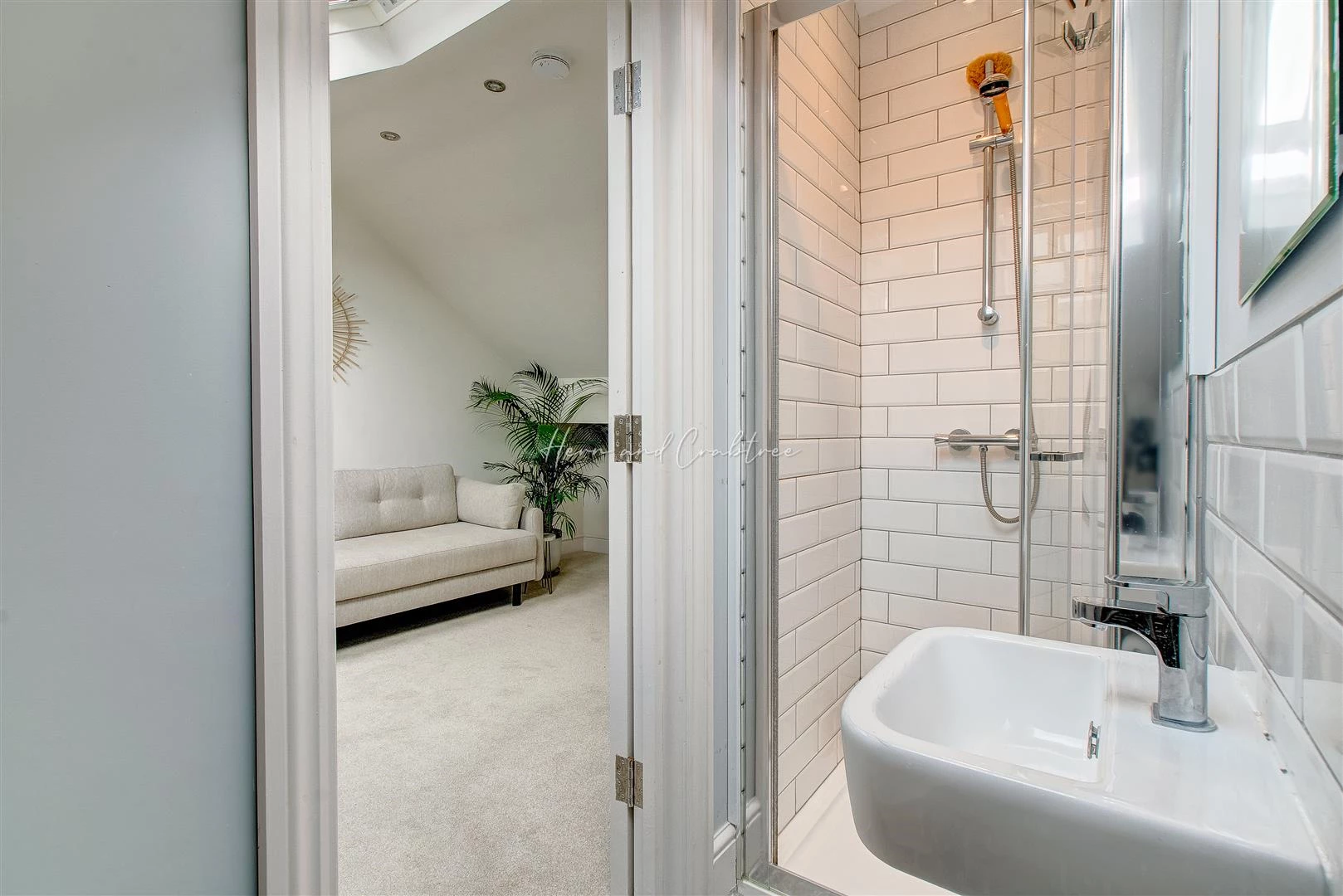 Dogo Street, Pontcanna, HernCrabtree (6).jpg