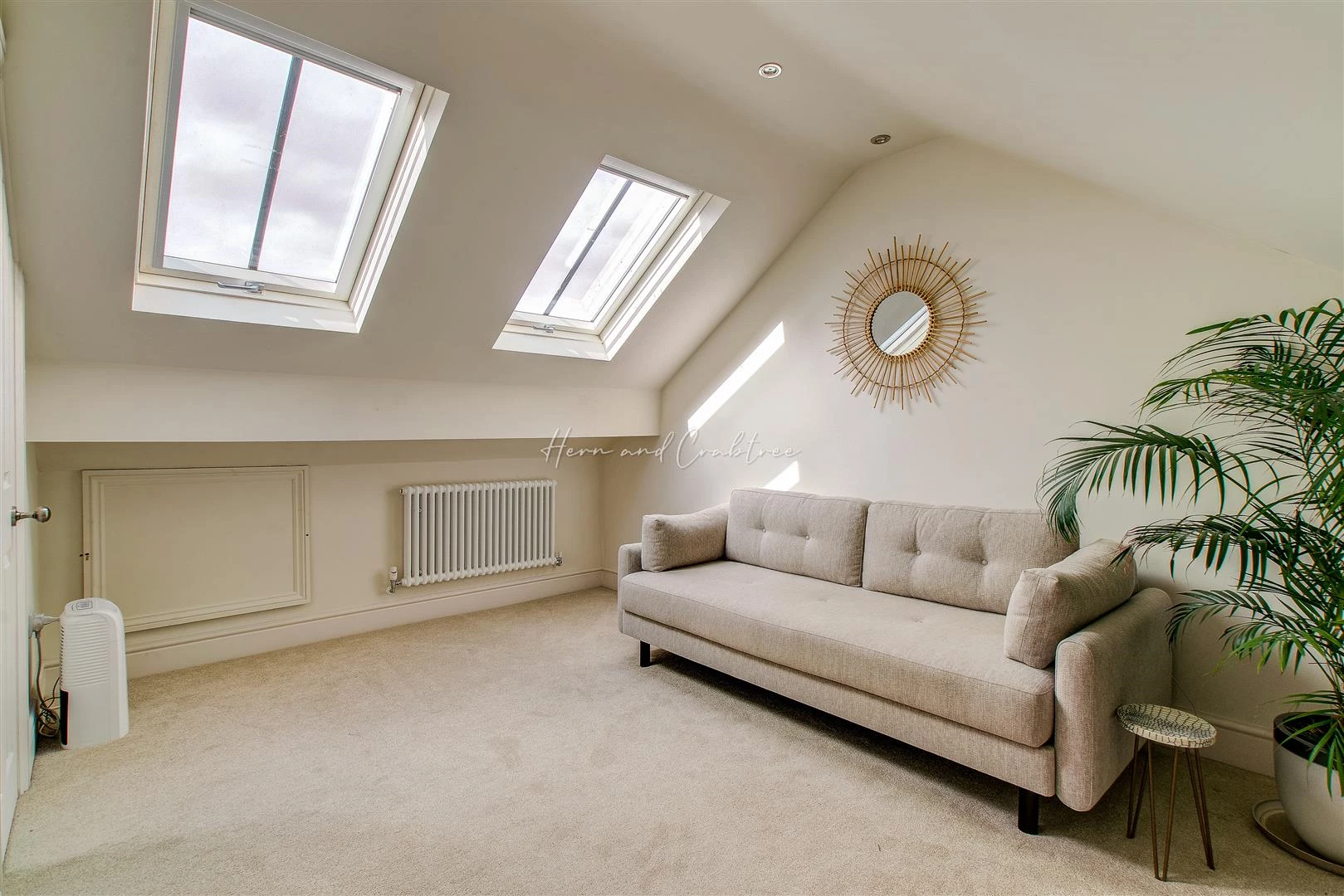 Dogo Street, Pontcanna, HernCrabtree (3).jpg