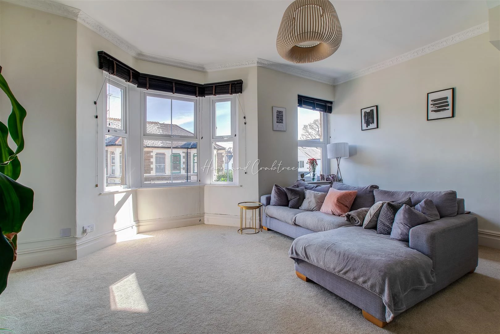 Dogo Street, Pontcanna, HernCrabtree (16).jpg