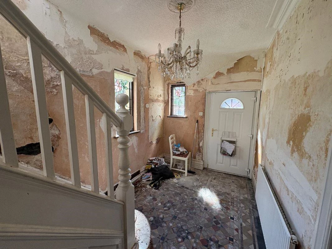 2682729_web_medium.jpg