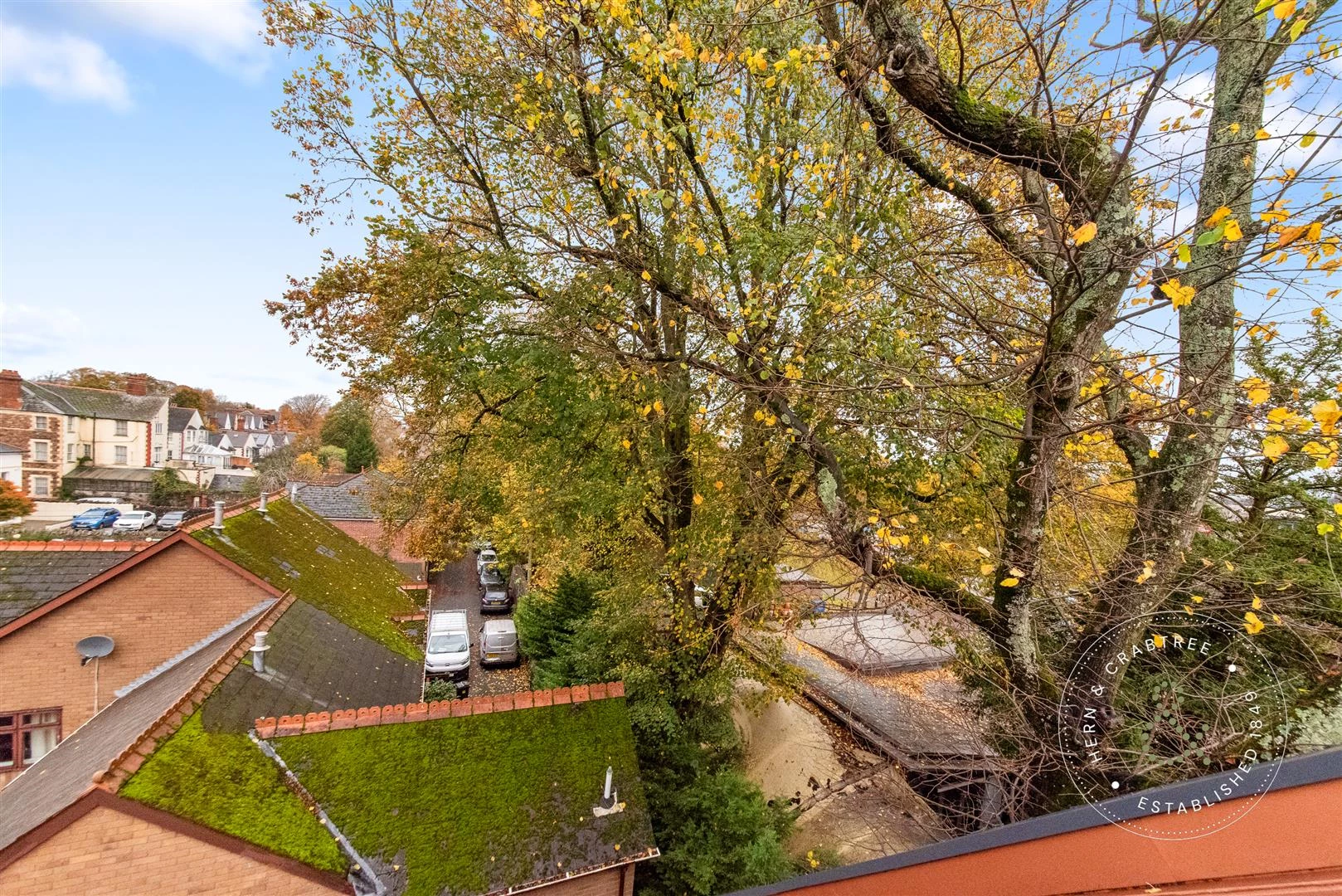 Sophia-Mews-24.jpg