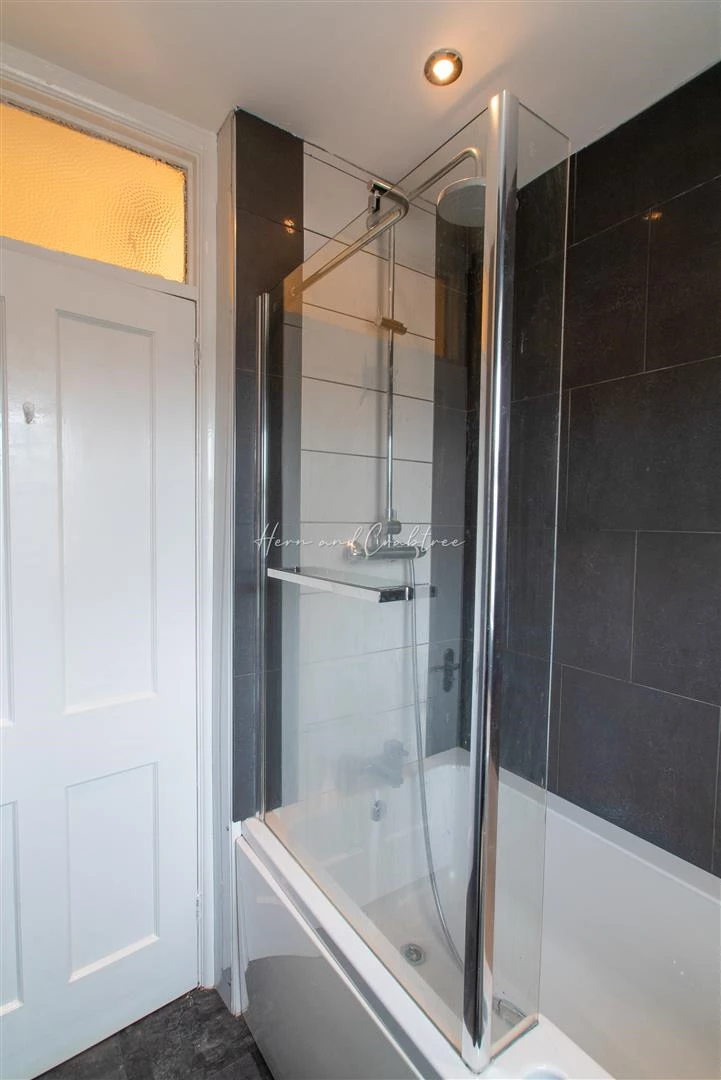 Sudcroft Street, Leckwith, HernCrabtree (10).jpg