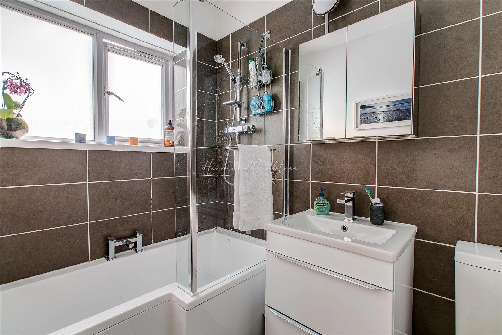 Llanbedr Road, Fairwater, HernCrabtree (17).jpg