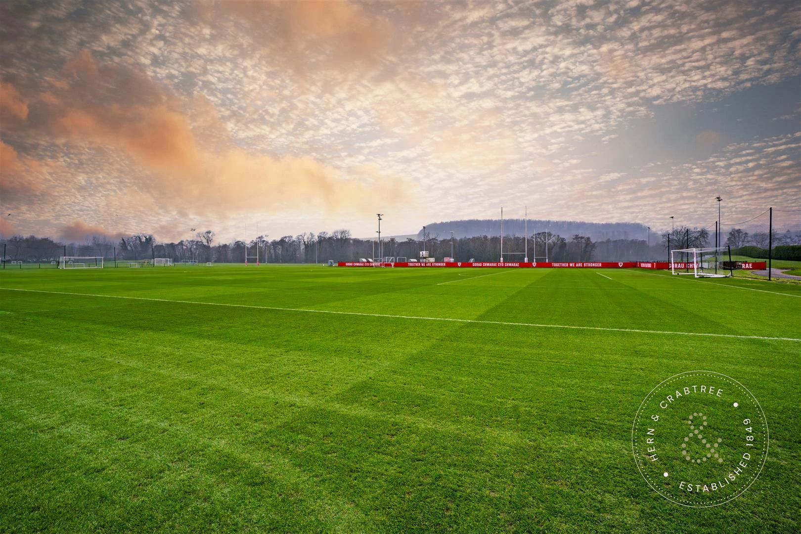 Hensol Castle Park, Hern Crabtree (11).jpg