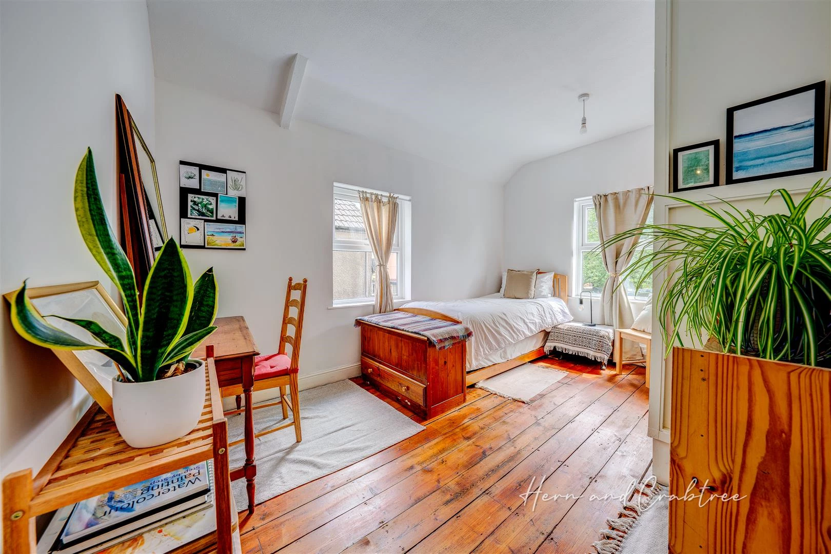 Hamilton Street, Pontcanna, HernCrabtree (26).jpg