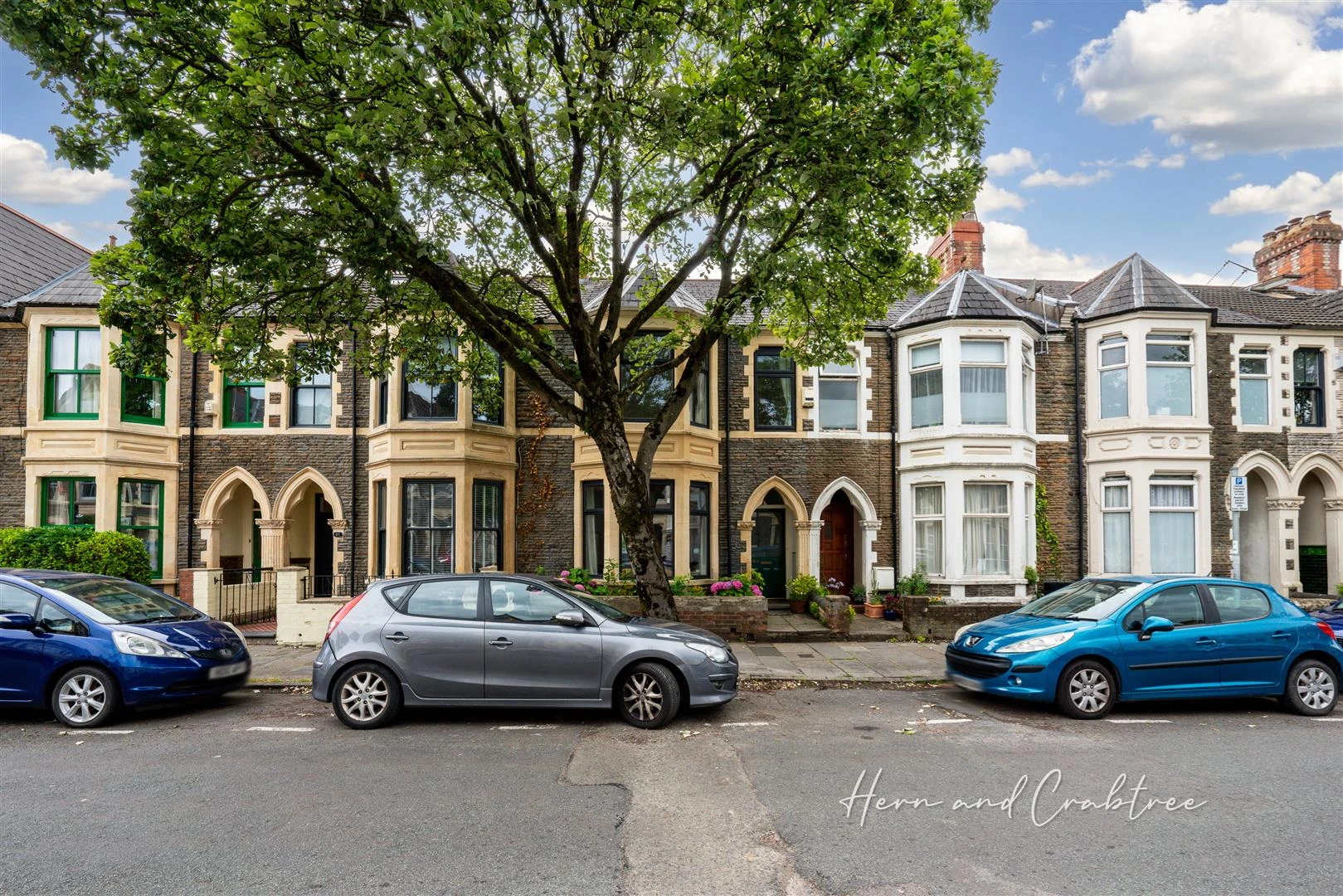 Hamilton Street, Pontcanna, HernCrabtree (3).jpg