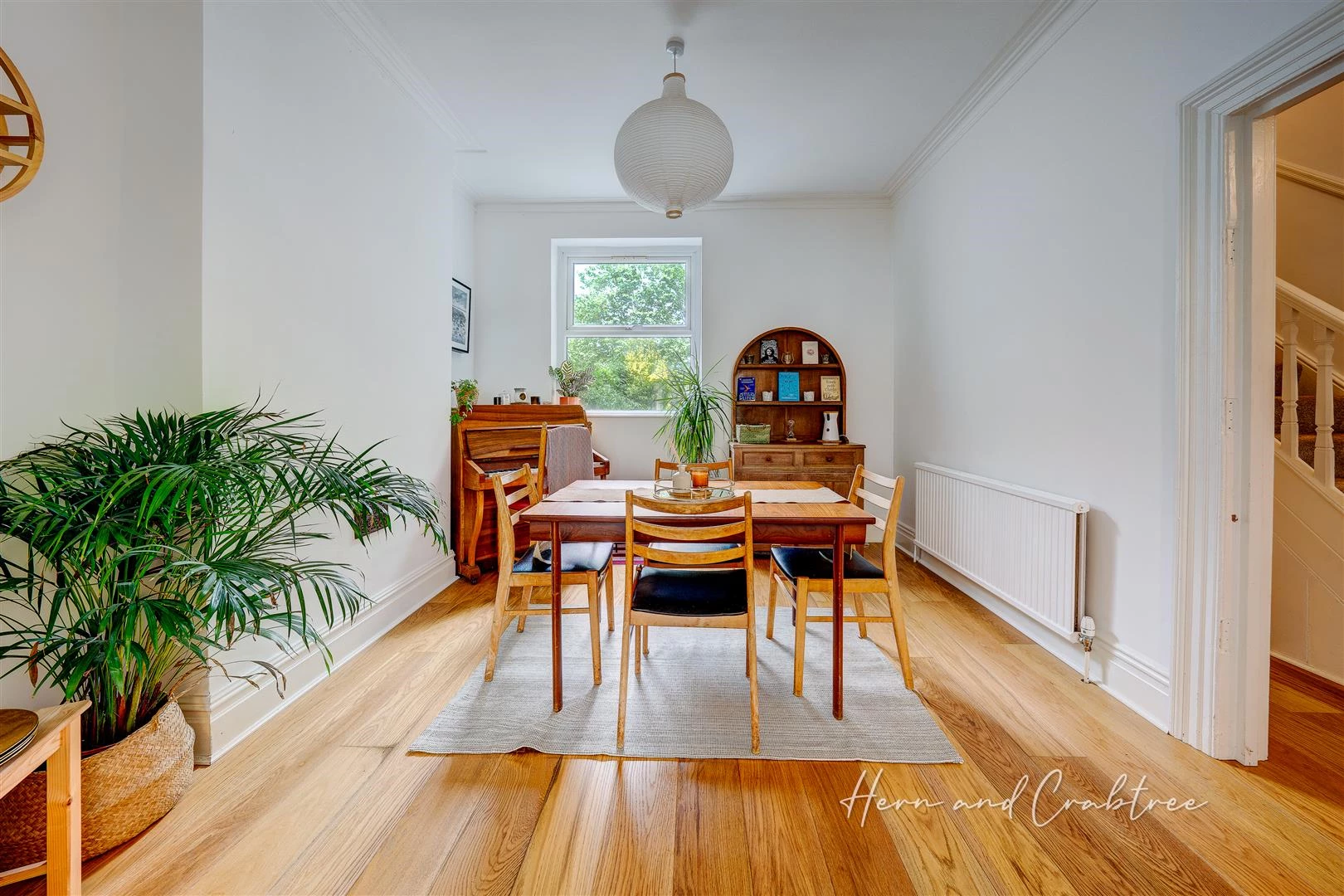 Hamilton Street, Pontcanna, HernCrabtree (7).jpg