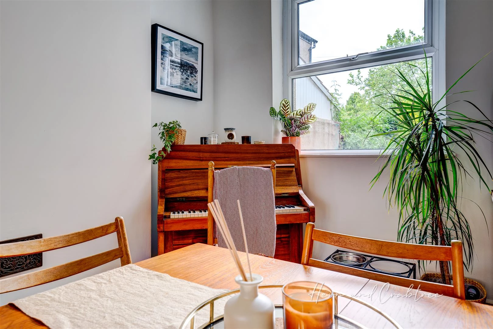 Hamilton Street, Pontcanna, HernCrabtree (10).jpg