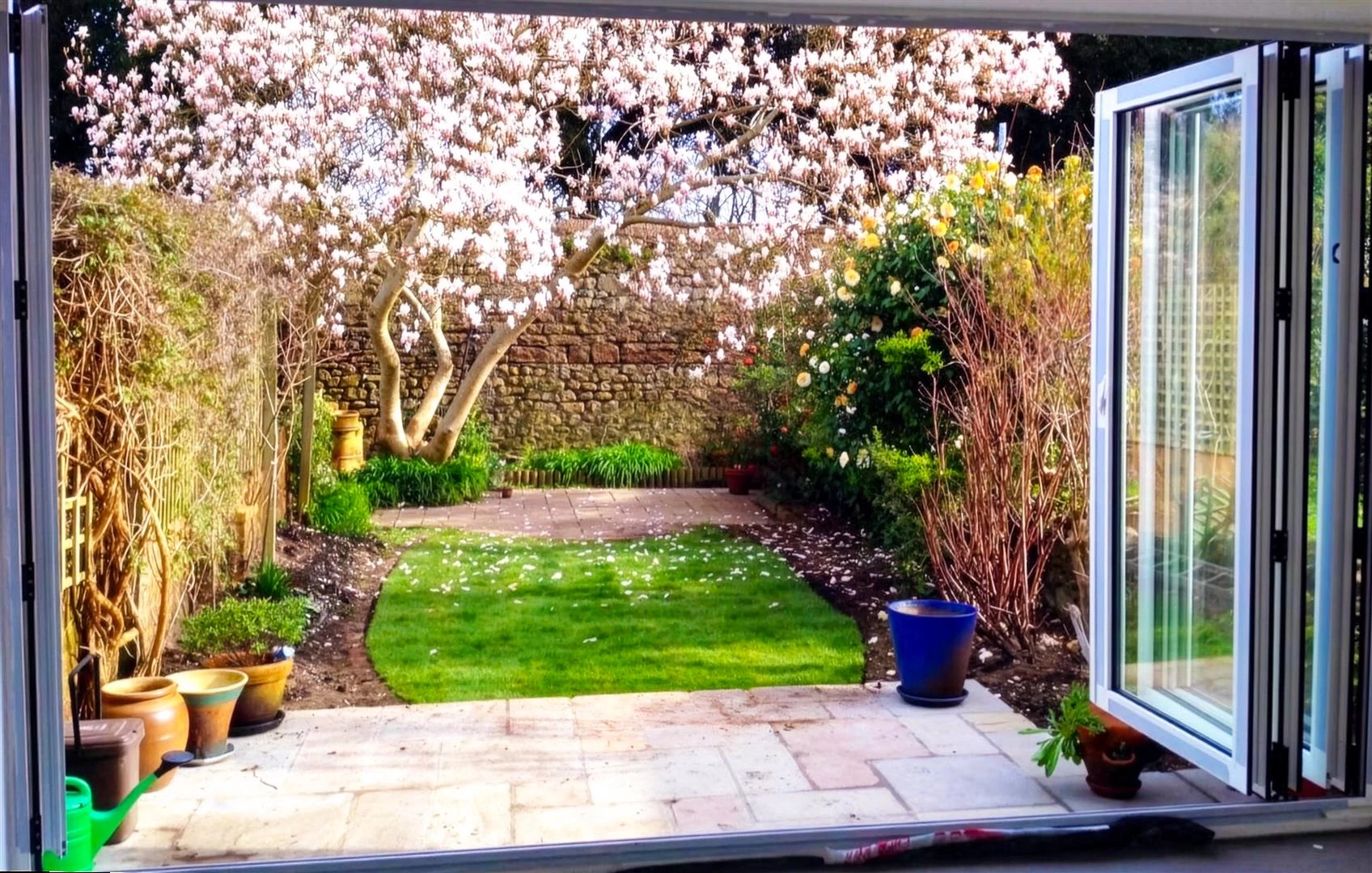 2 Firefly Upscaler 2x scale 2.png