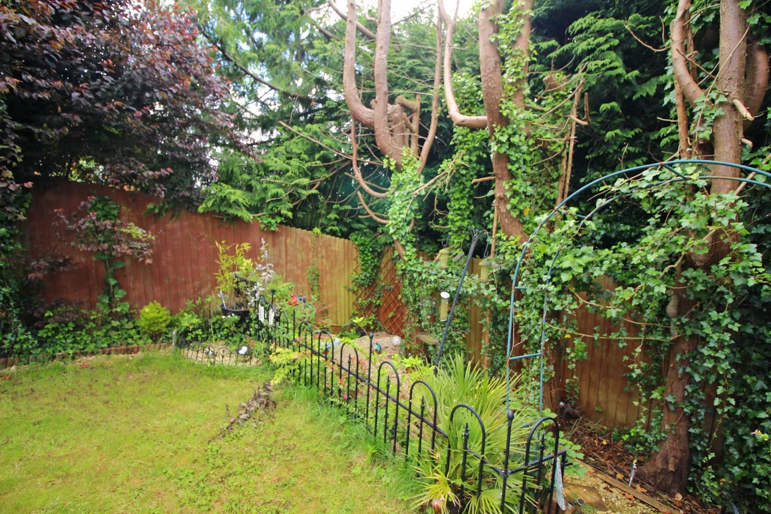 Garden 2.jpg