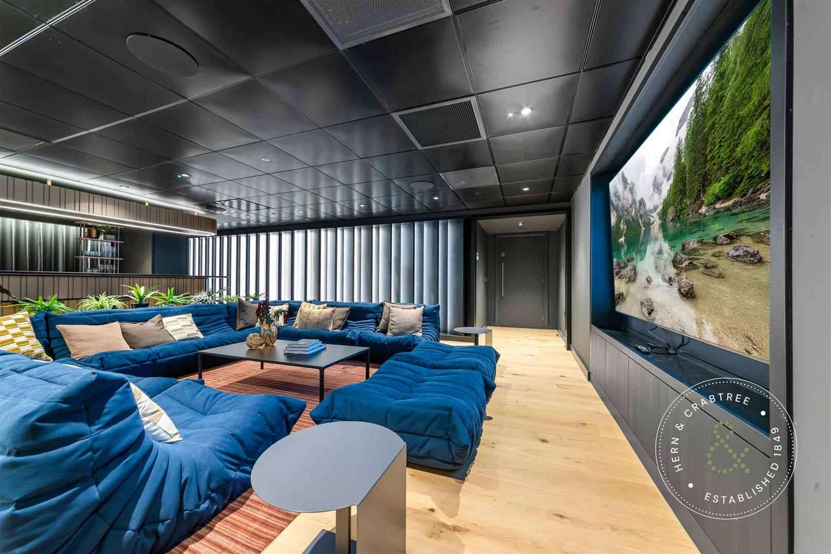 Private Hire Cinema Room