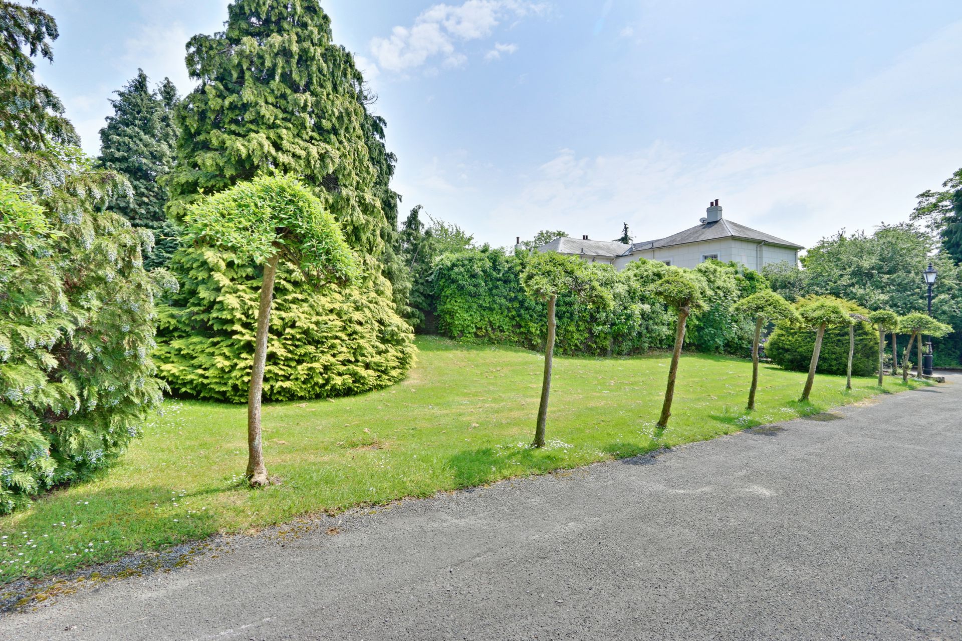 Garden Garden