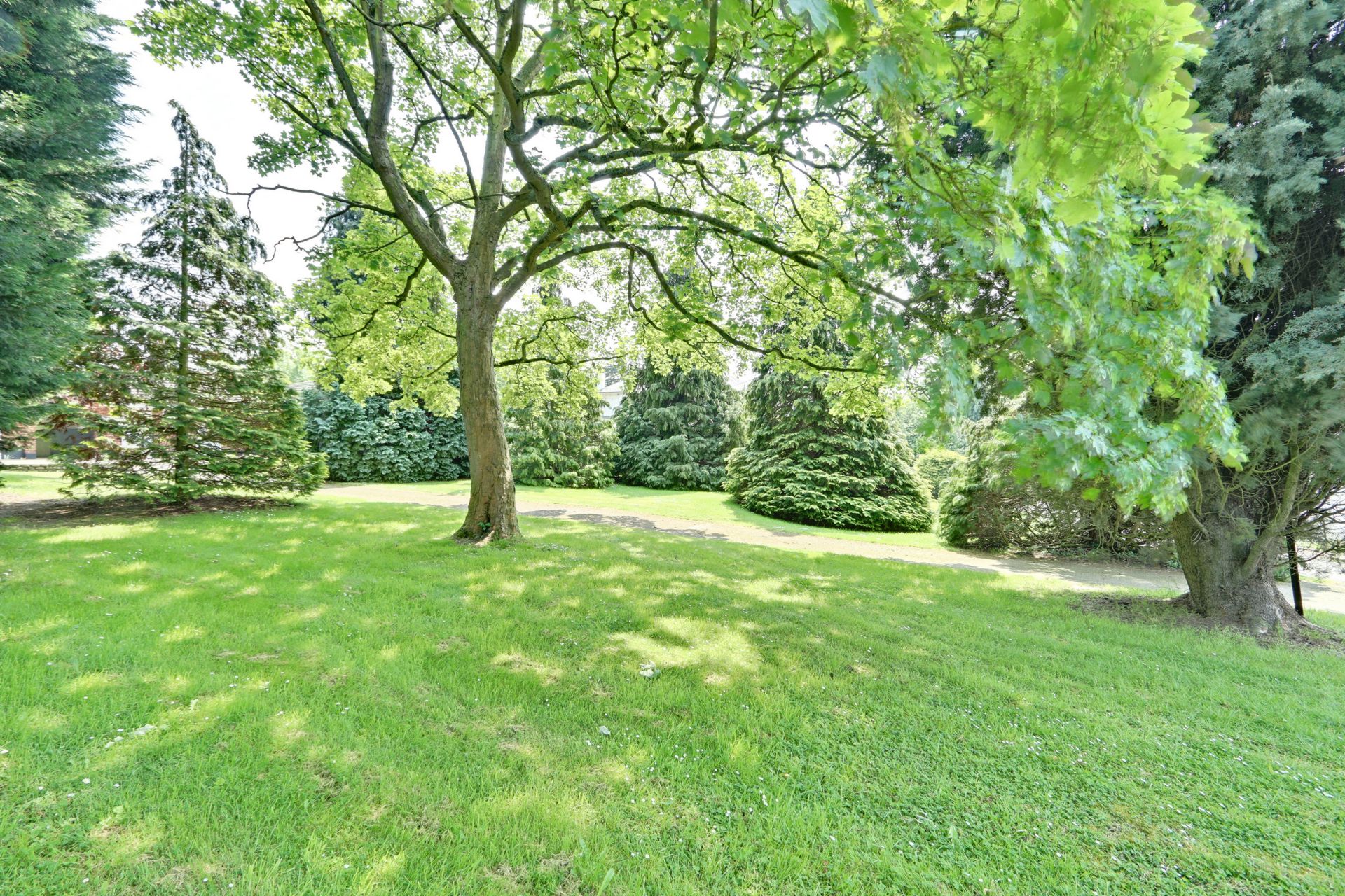 Garden Garden