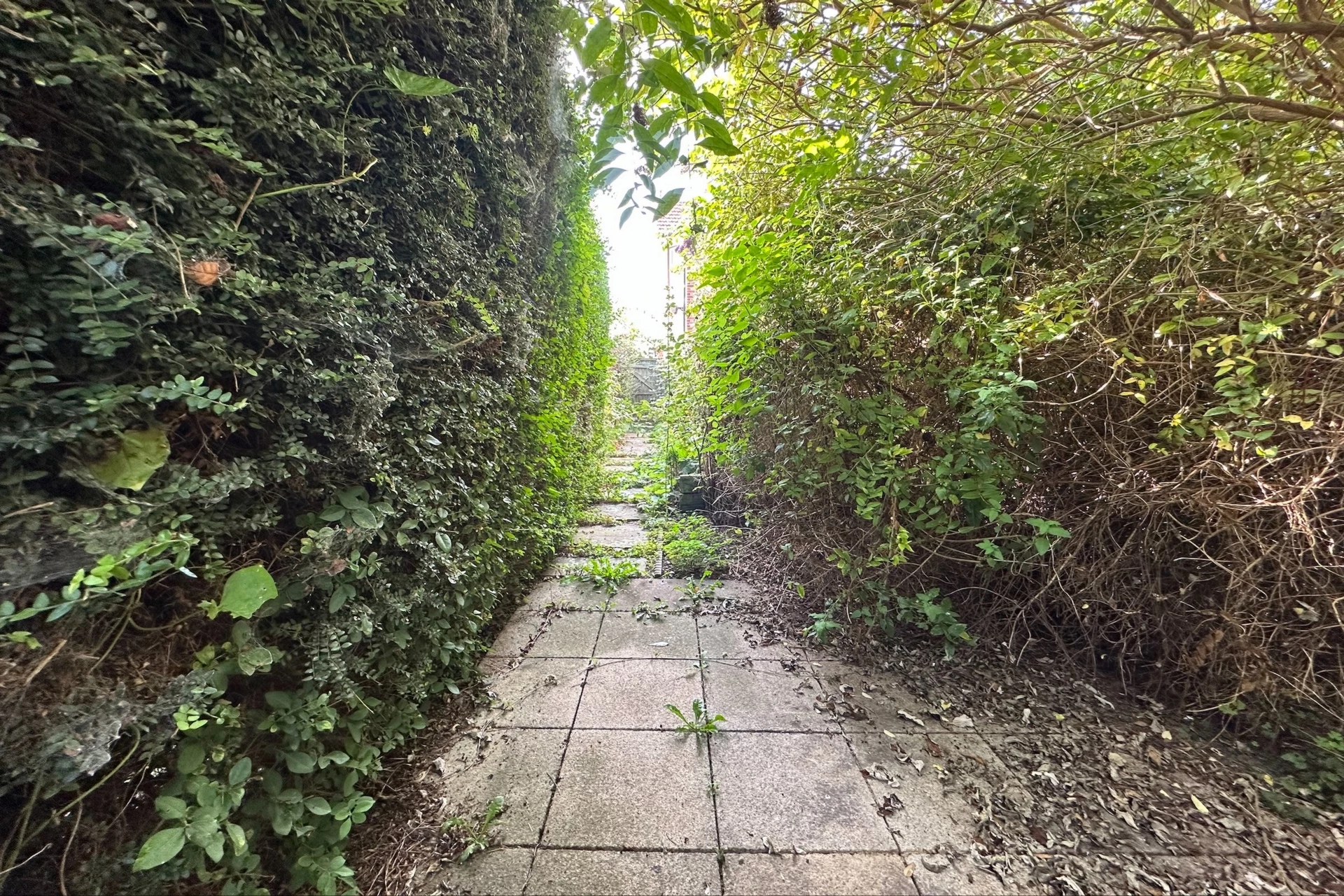 Photo 17