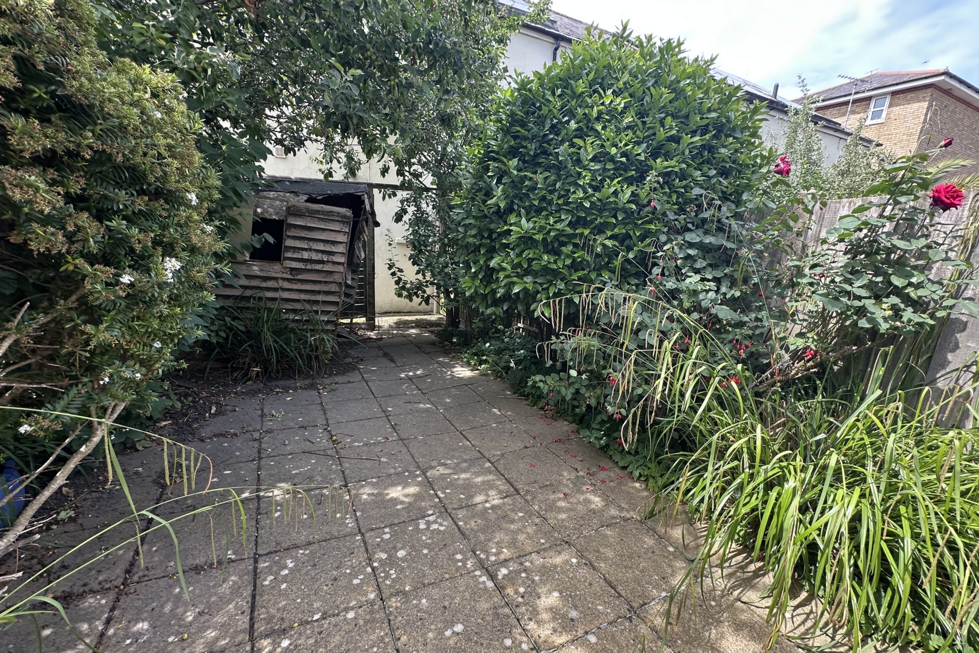 Photo 13