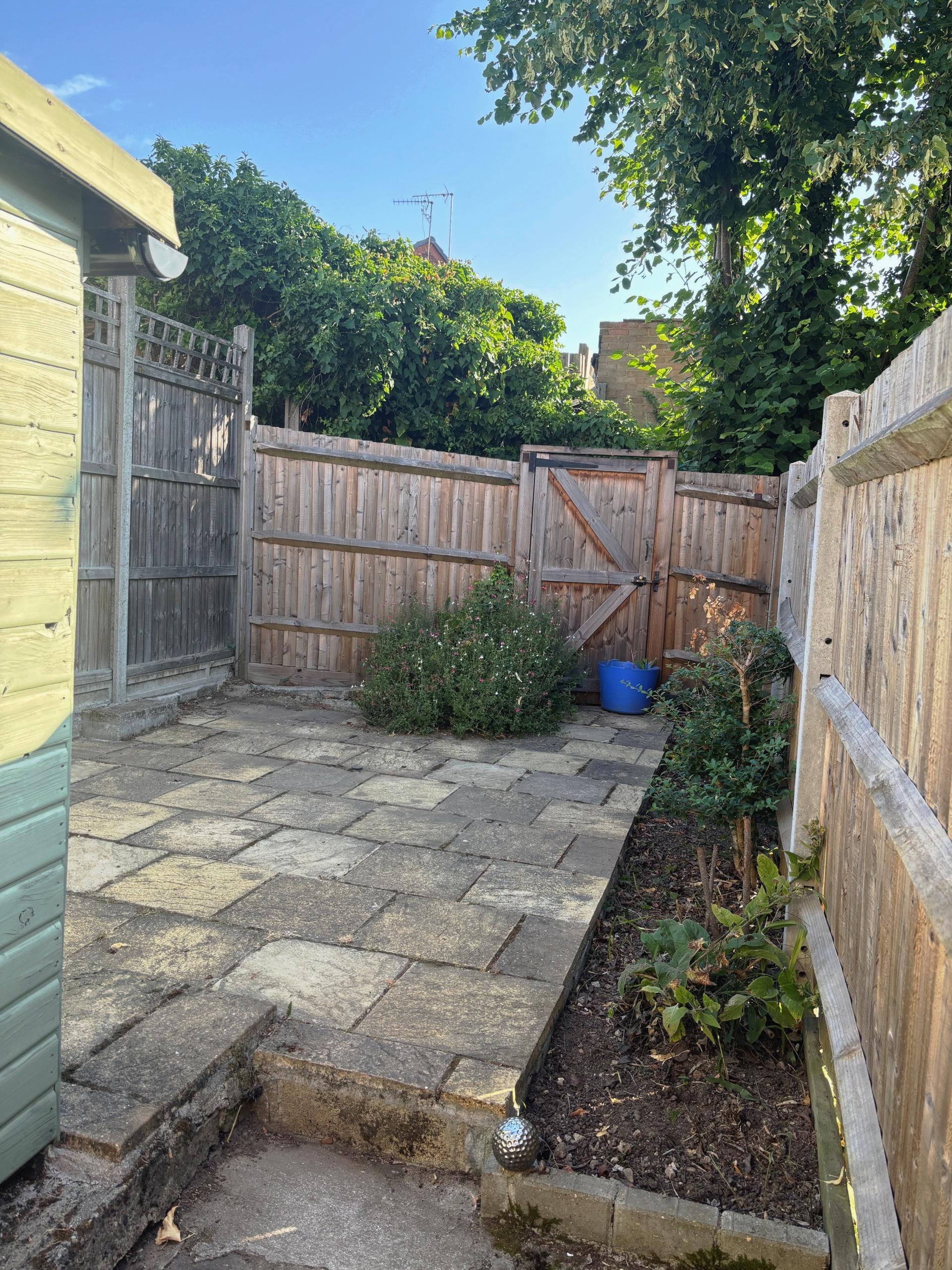 Photo 11