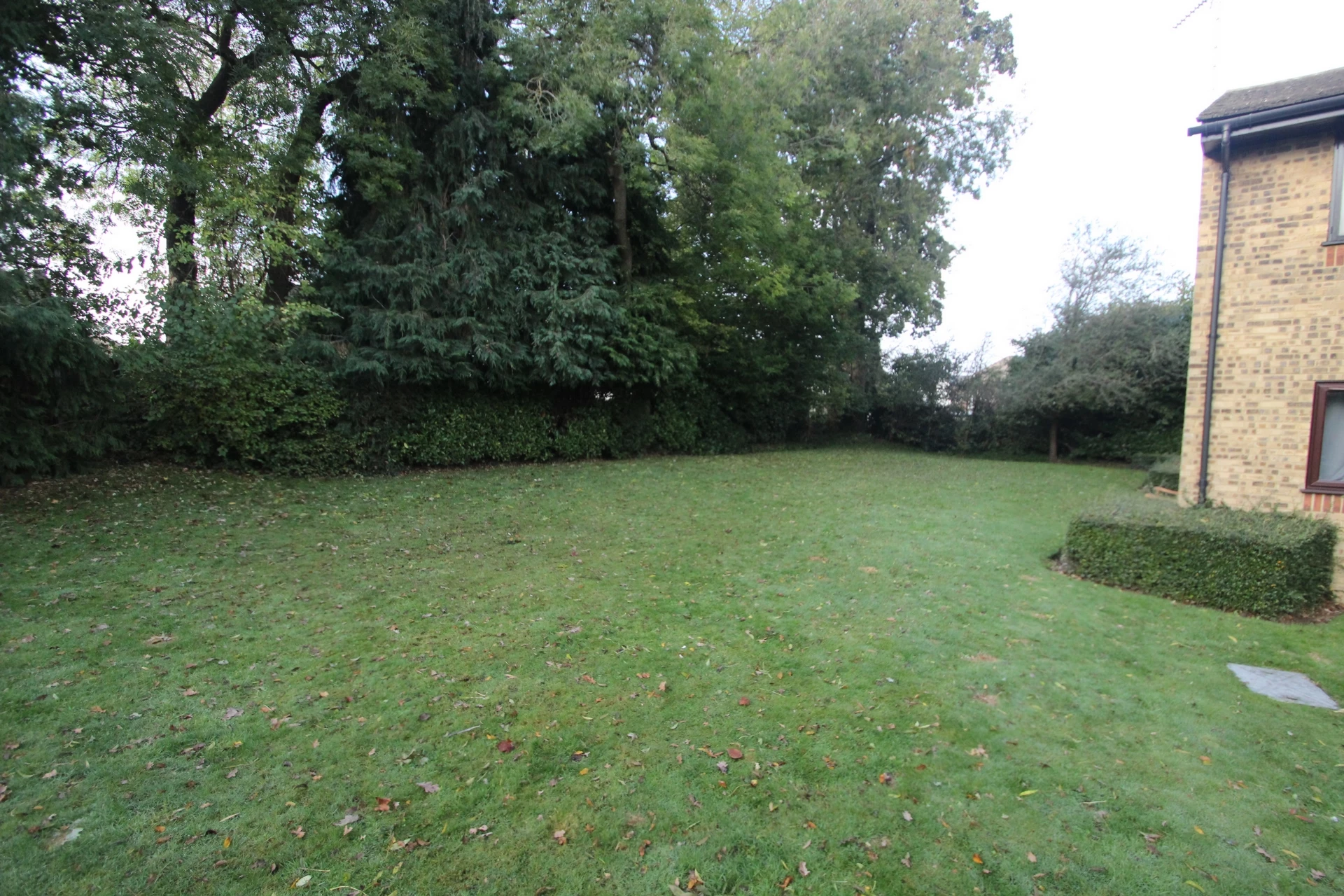 Photo 26