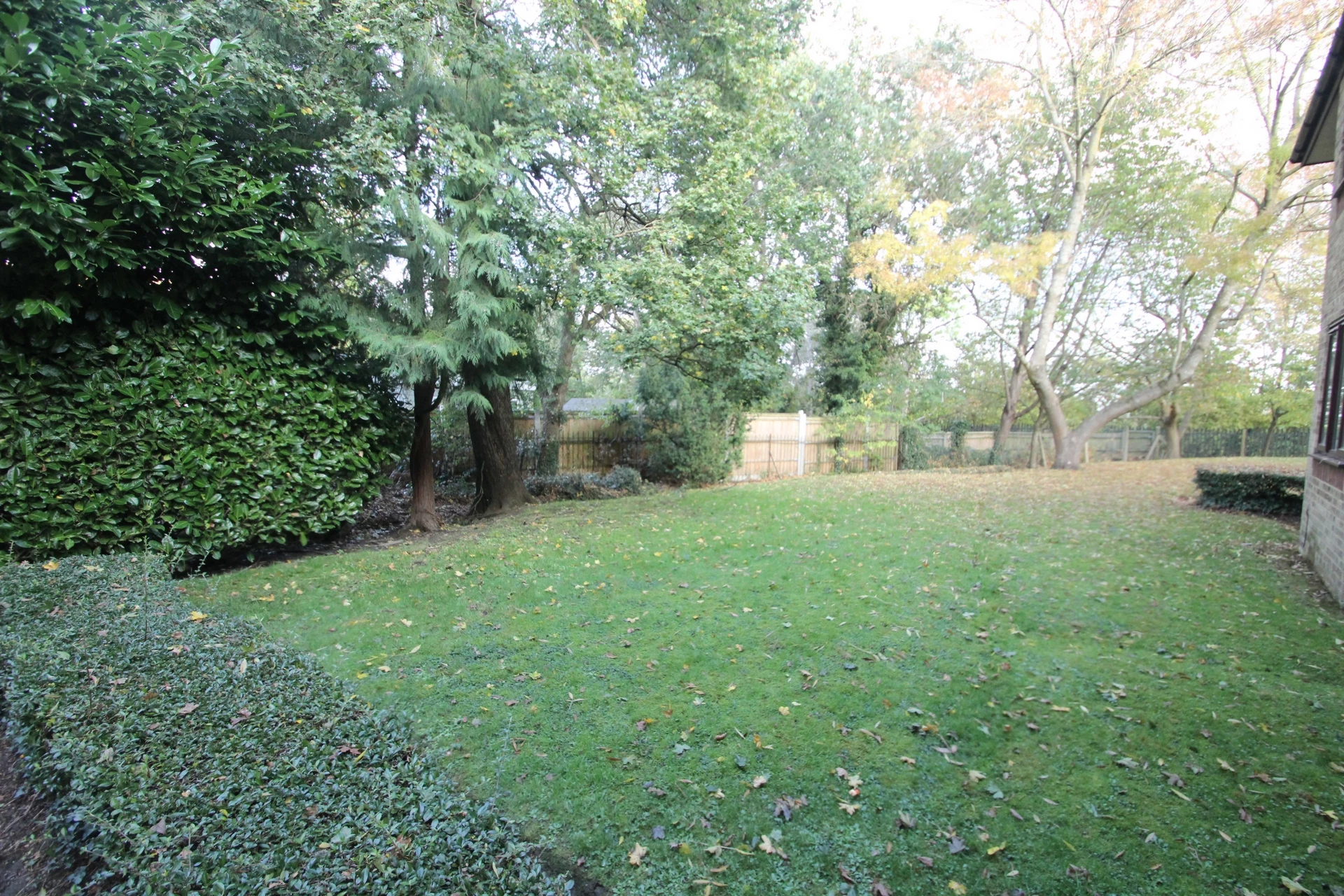 Photo 32