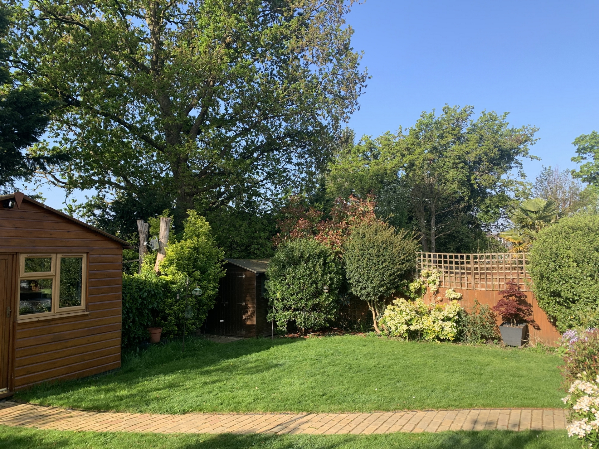 Photo 25