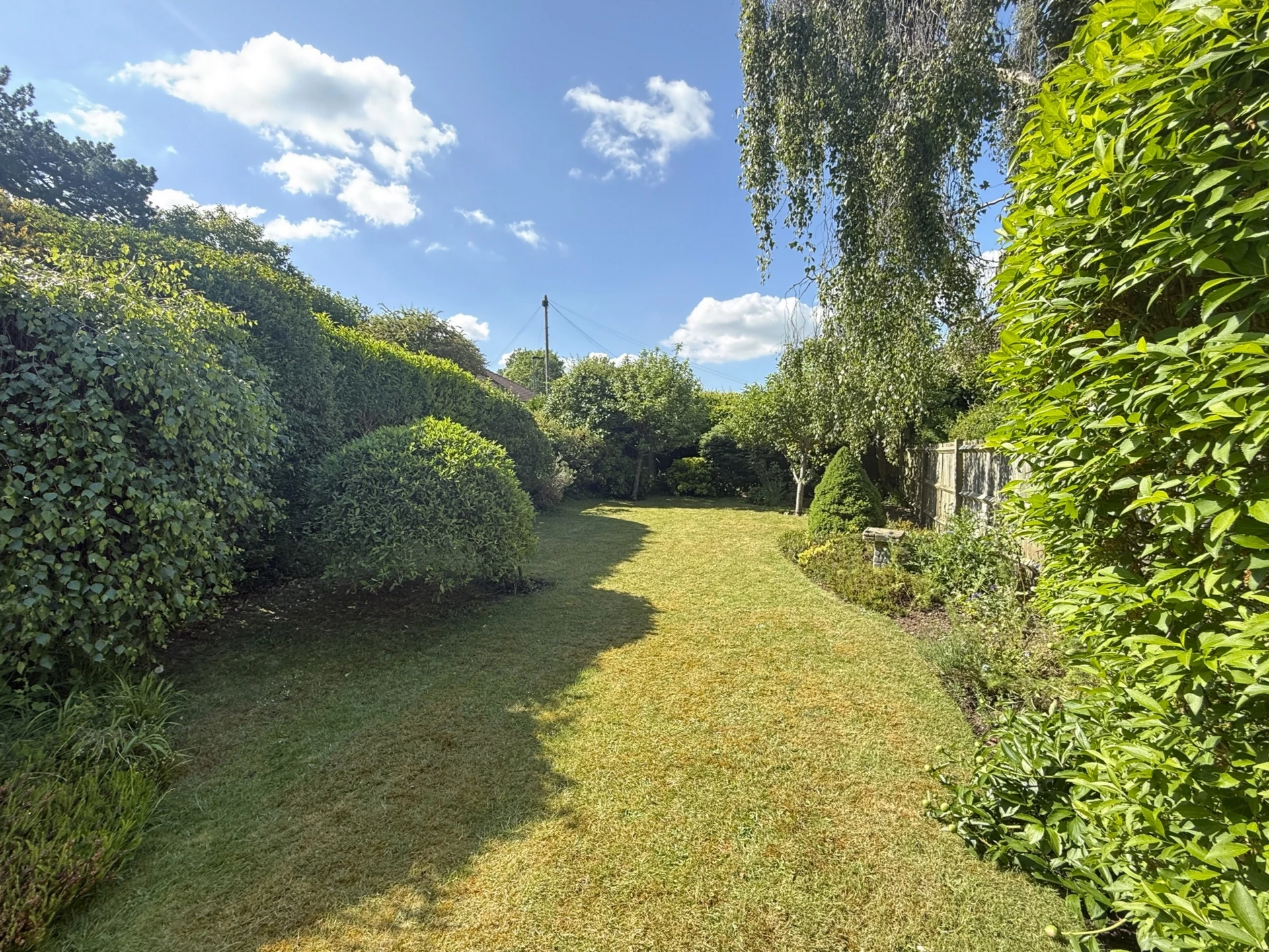 Photo 28