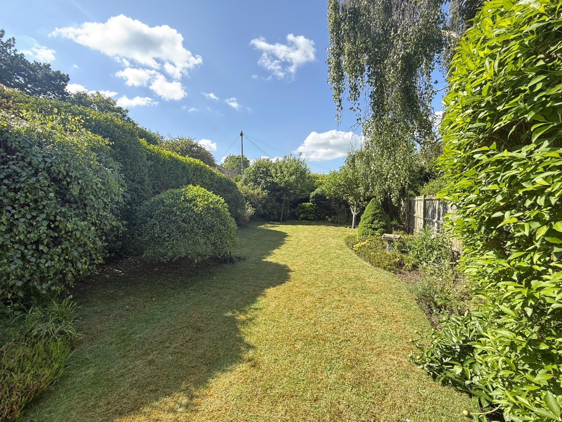 Photo 28