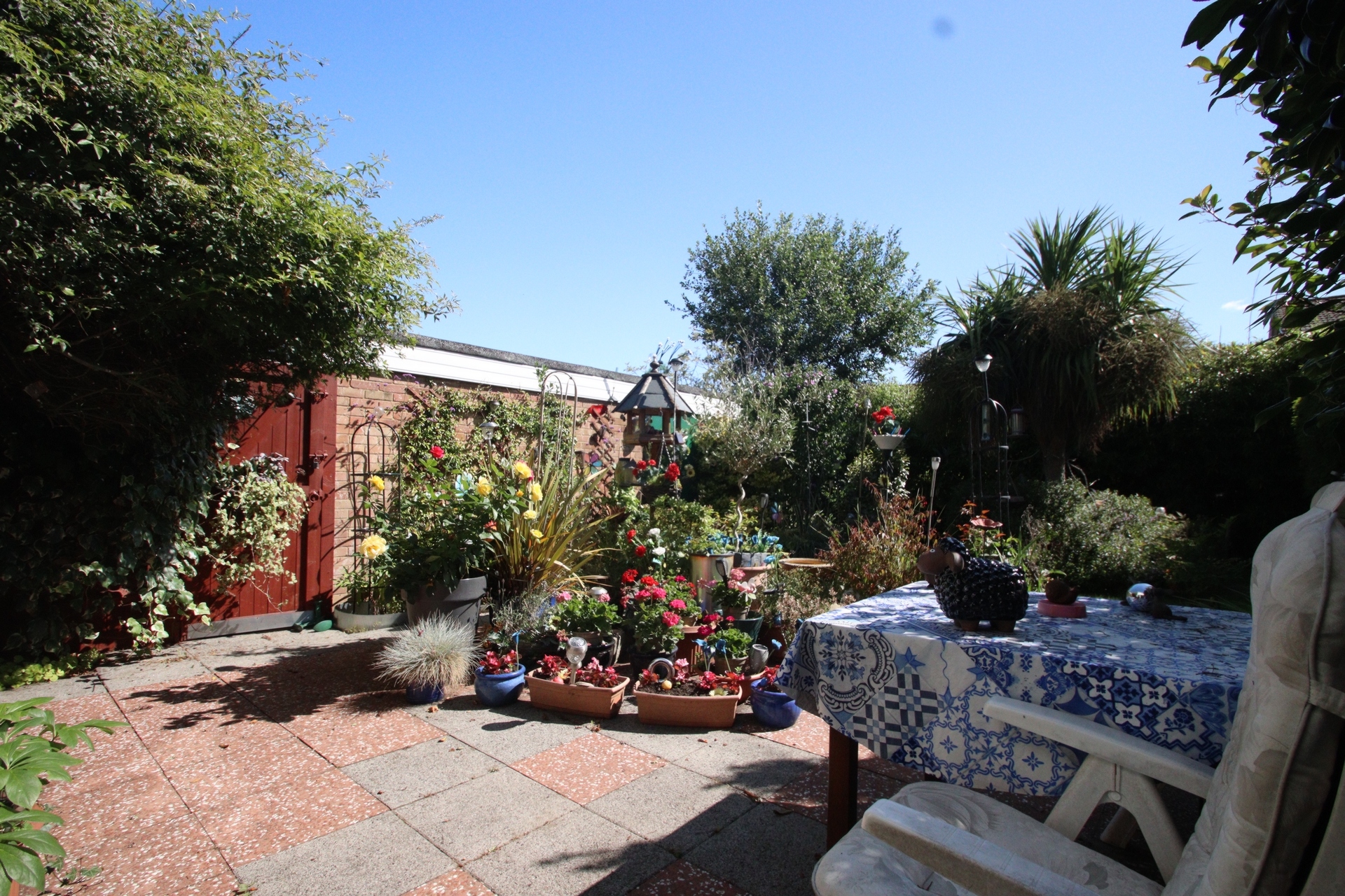 Photo 23