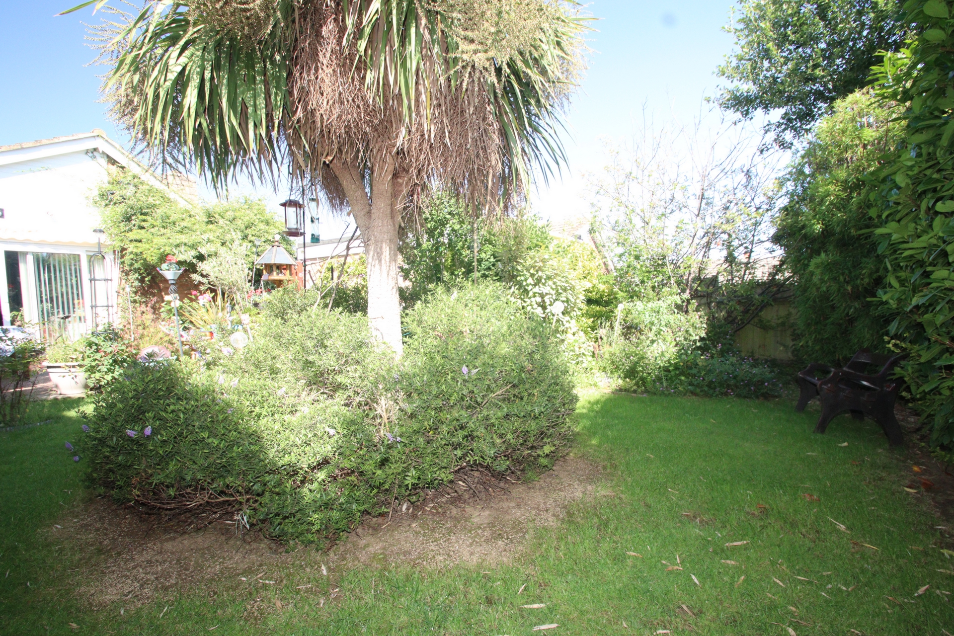 Photo 24