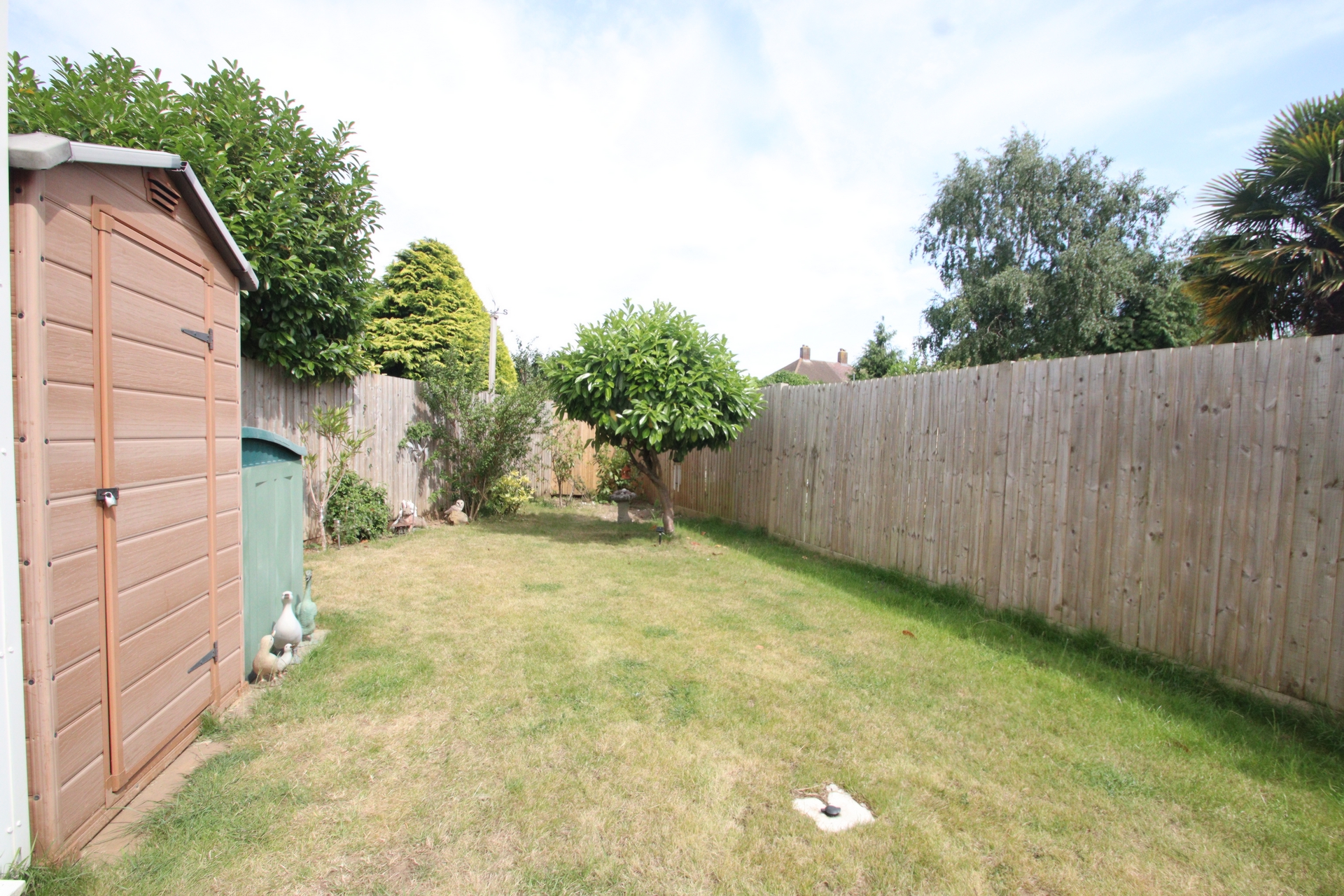 Photo 27