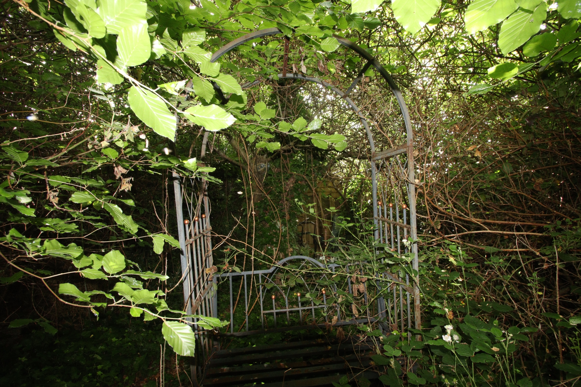 Photo 2