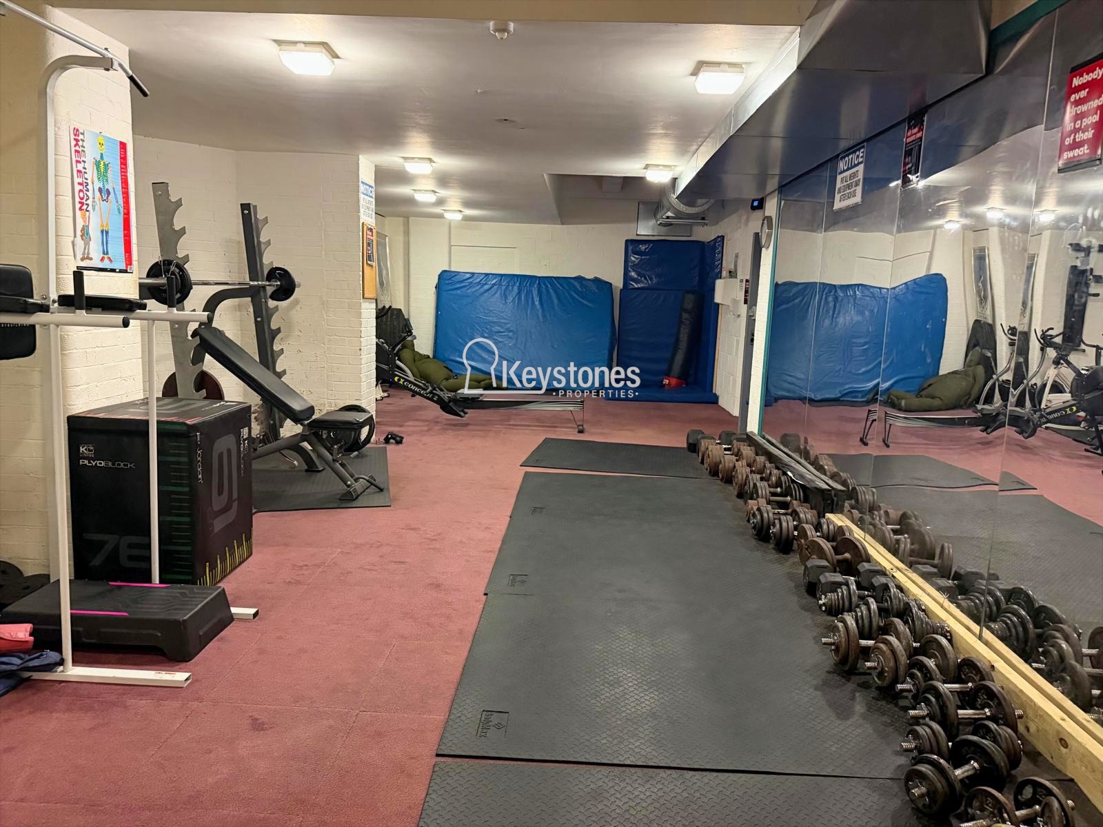 Gym