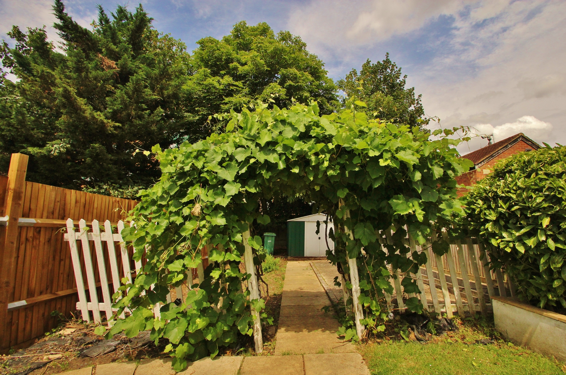 Photo 14