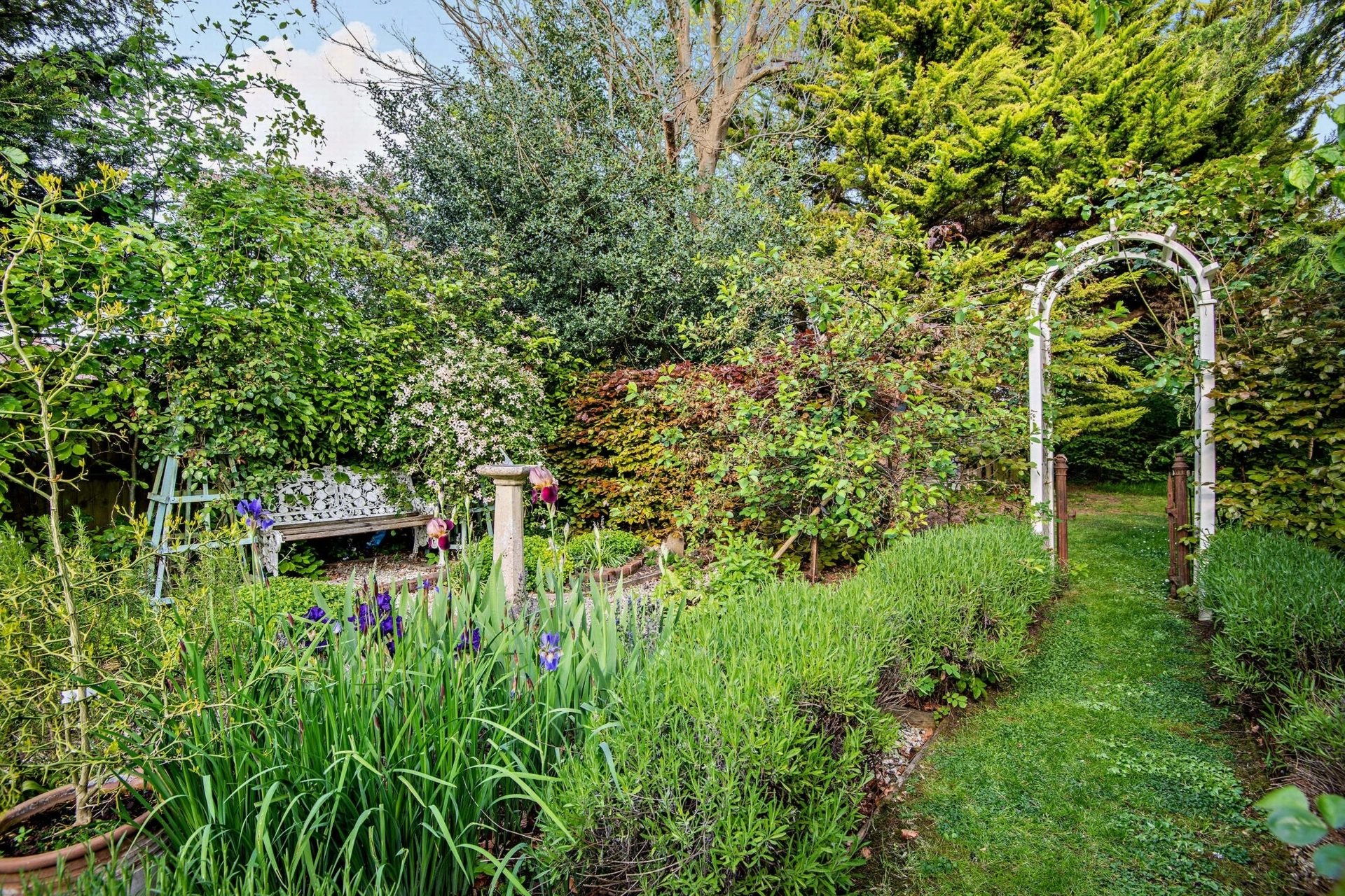 Garden