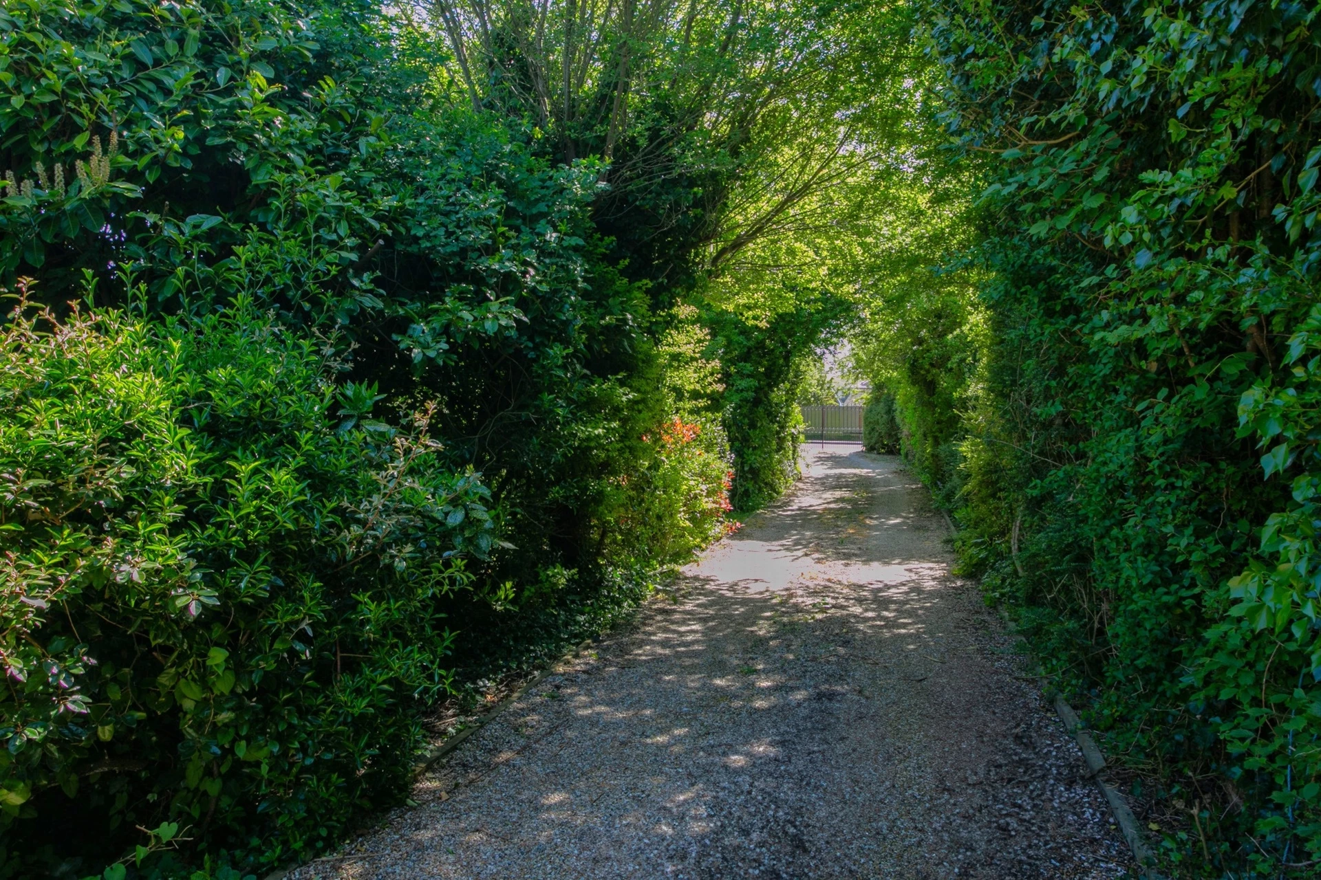 Driveway