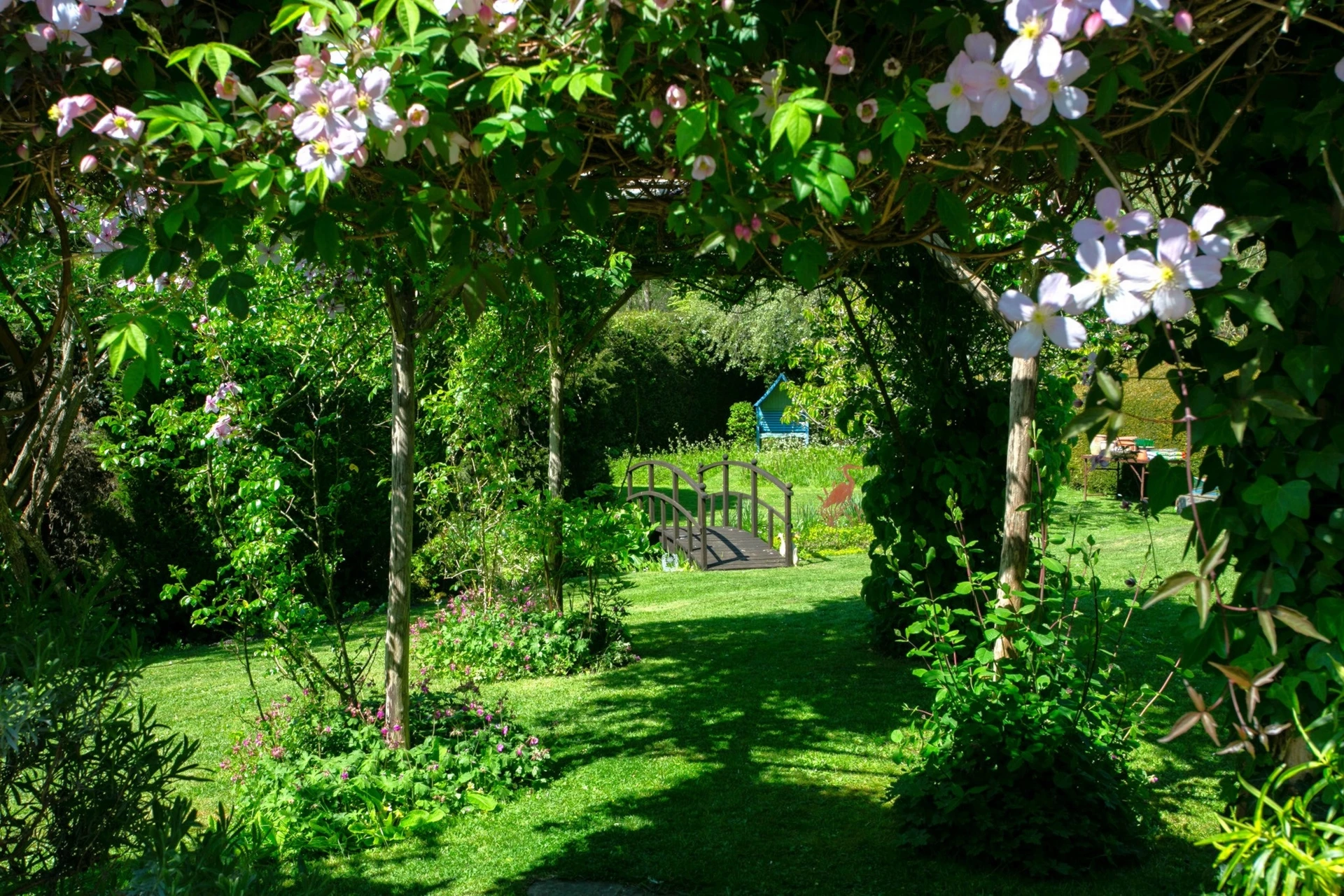 Garden
