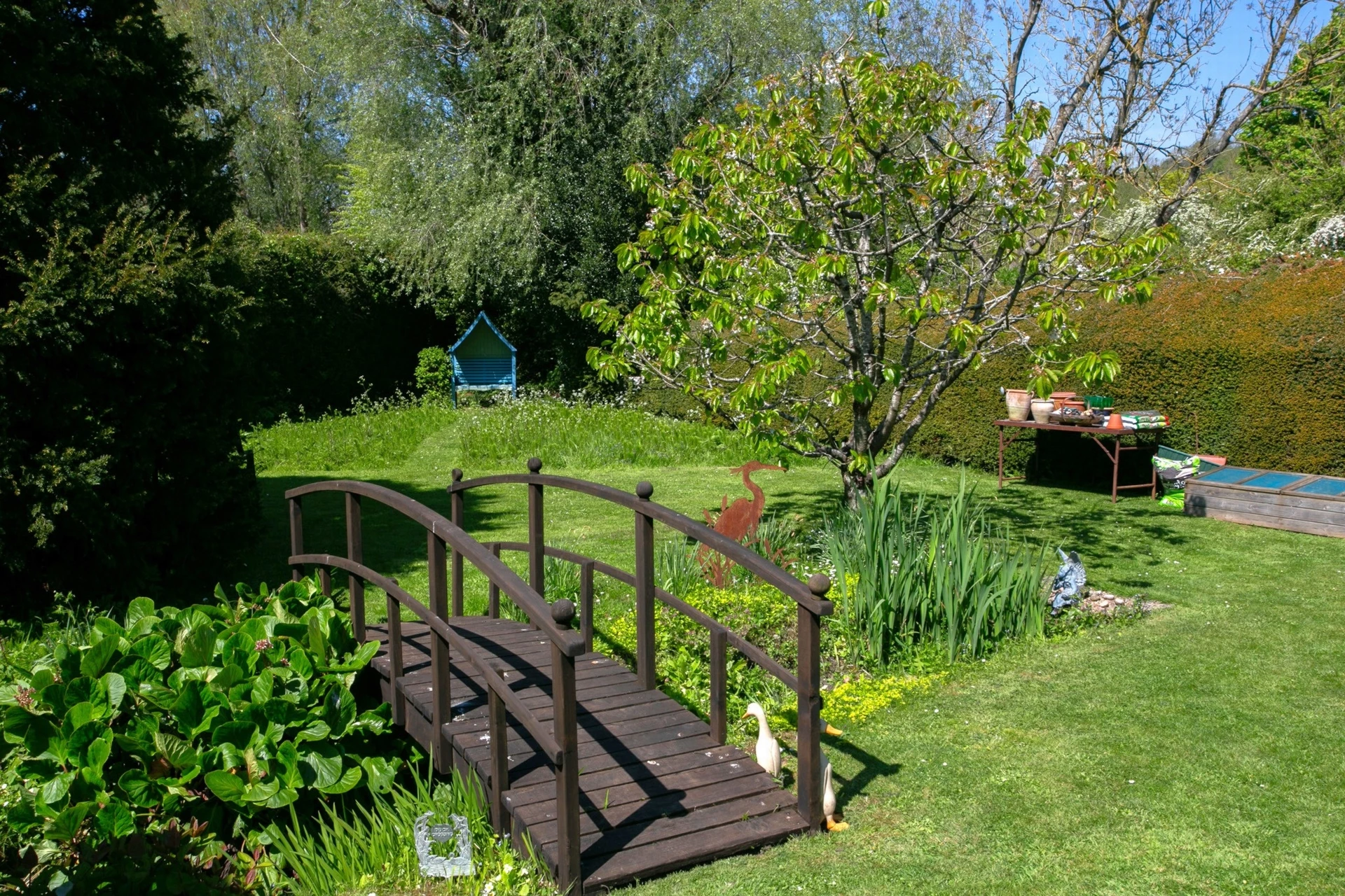 Garden
