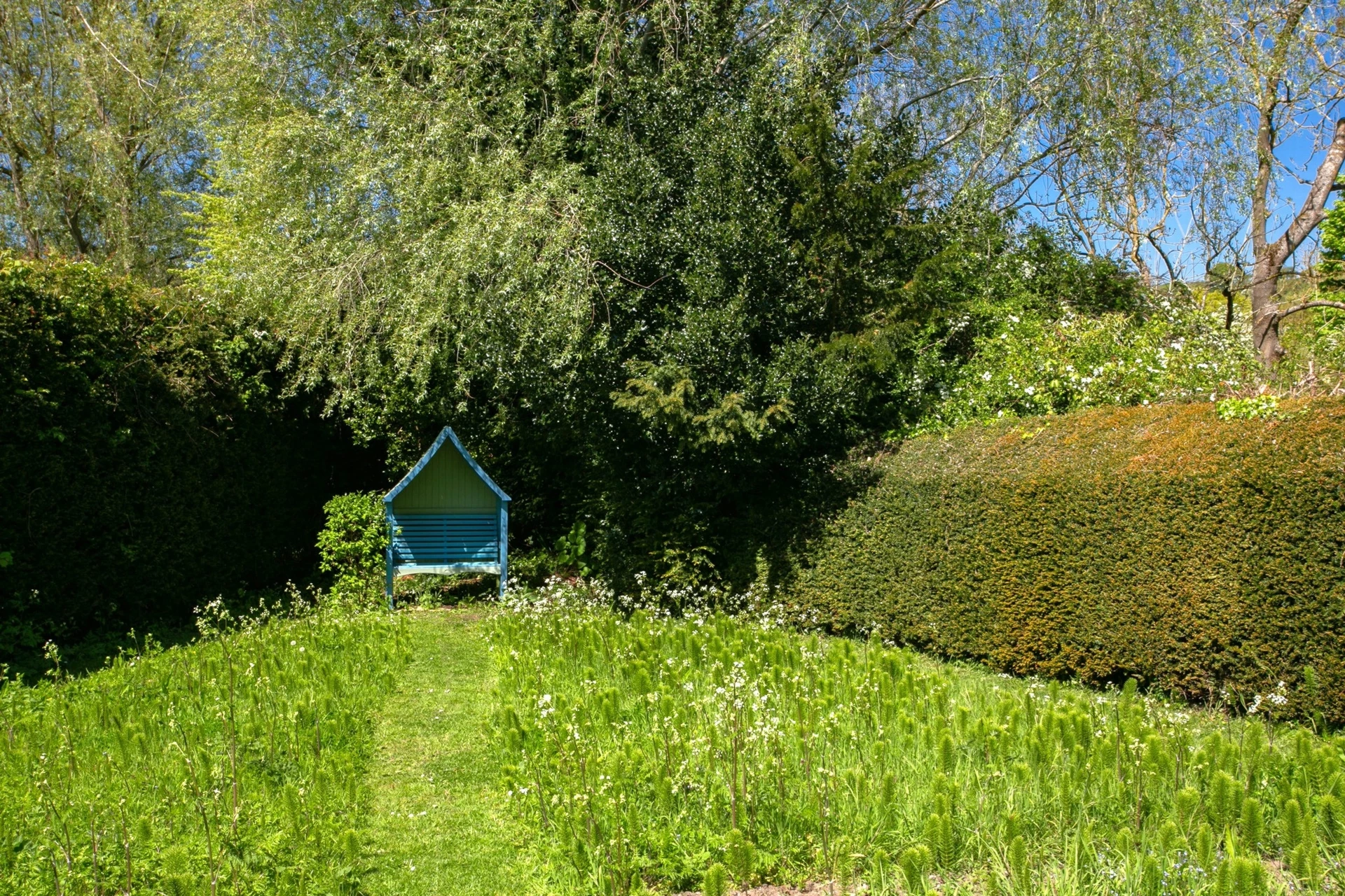 Wild flower garden