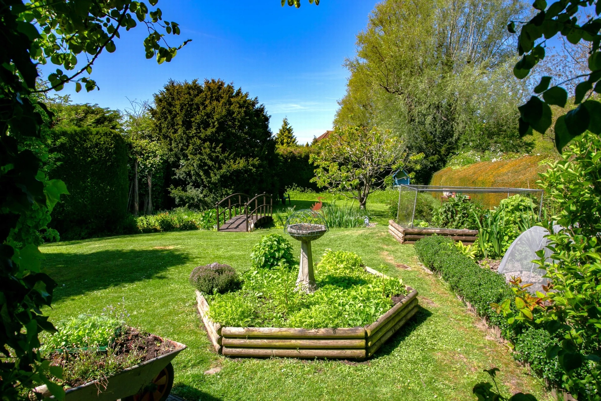 Garden