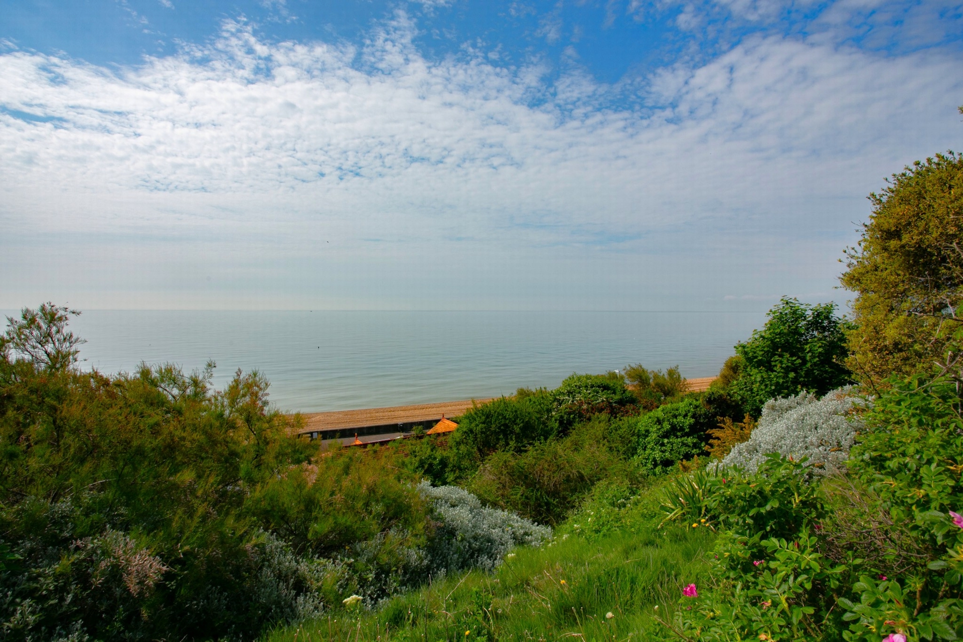 View from bedroom