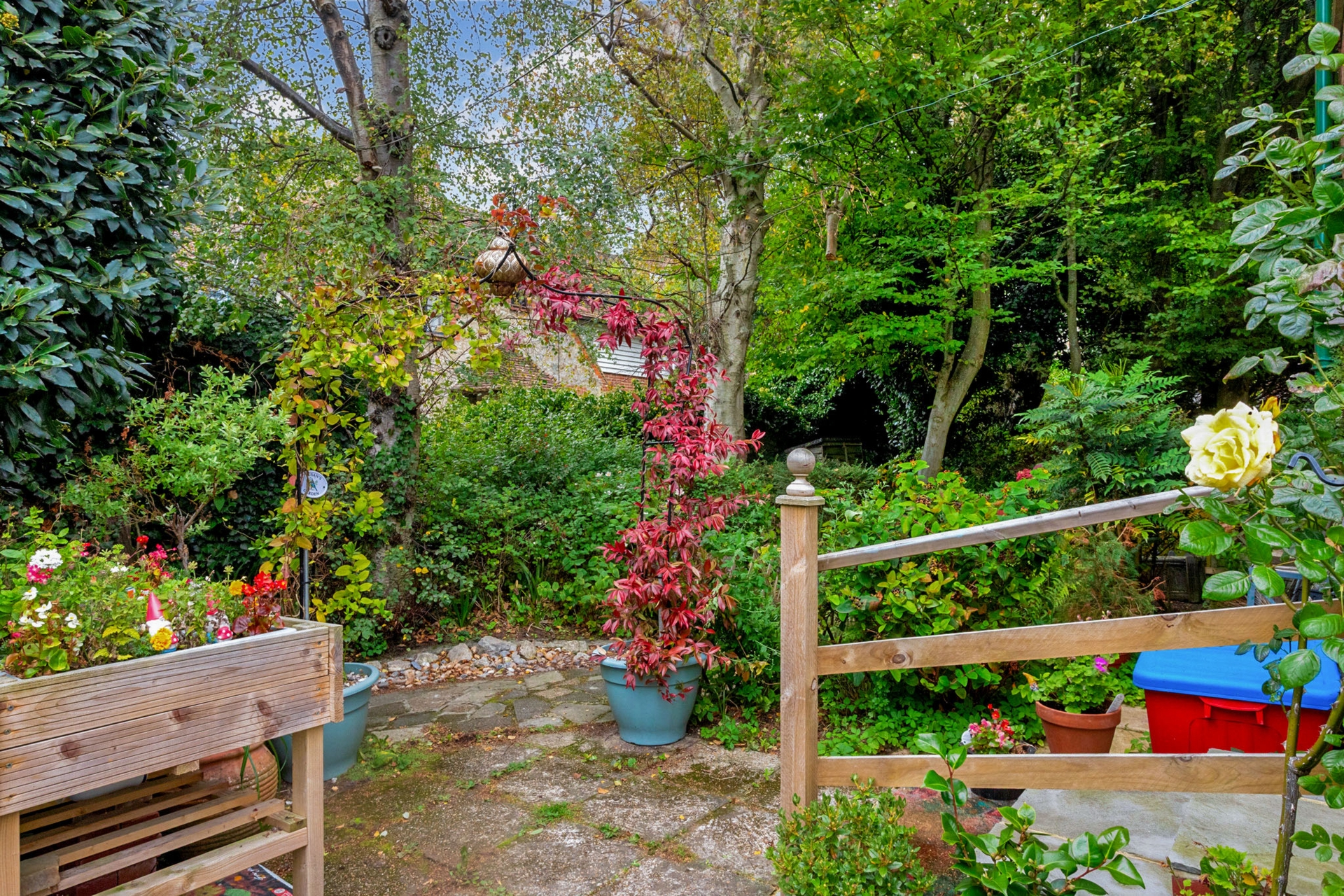Garden