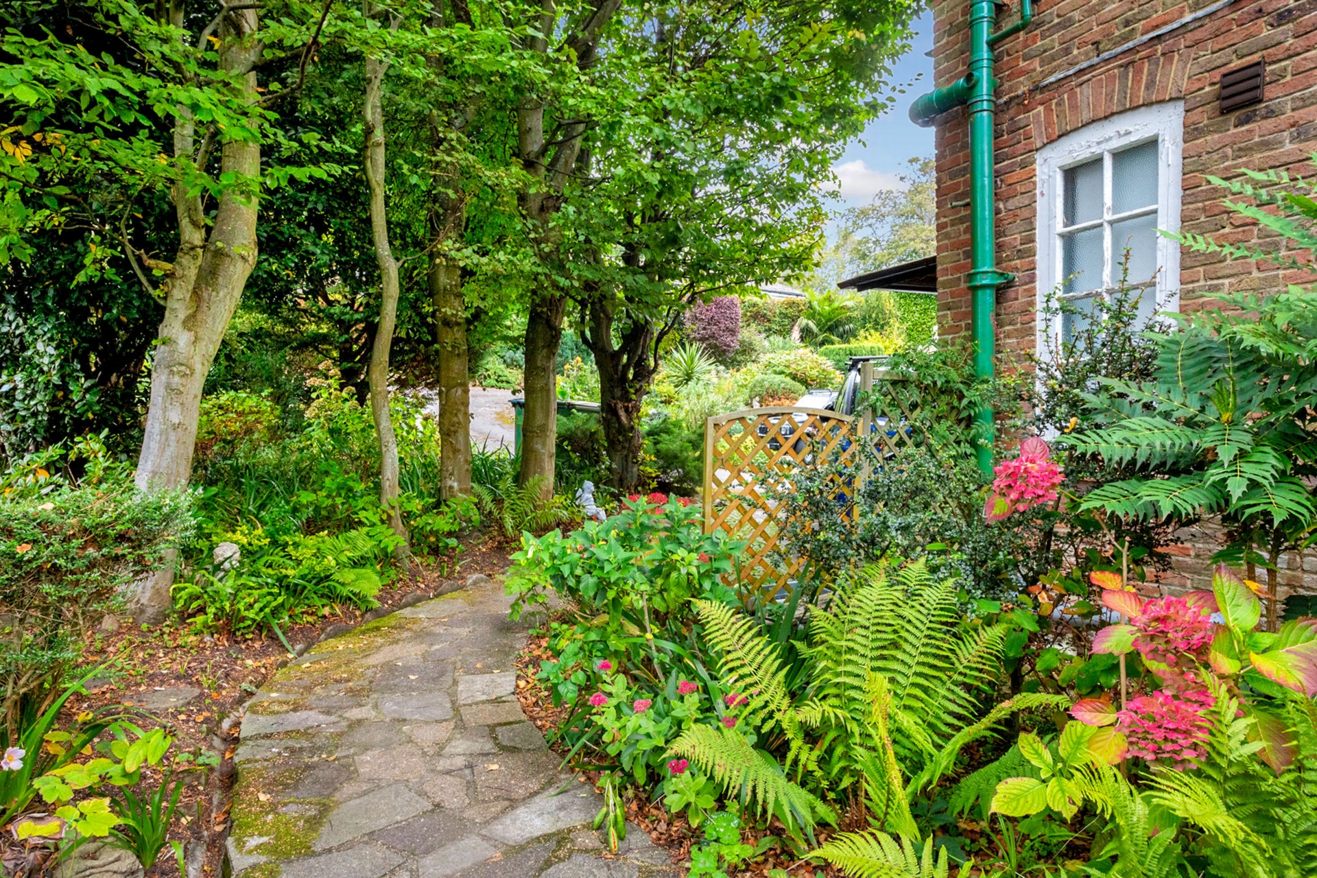 Garden