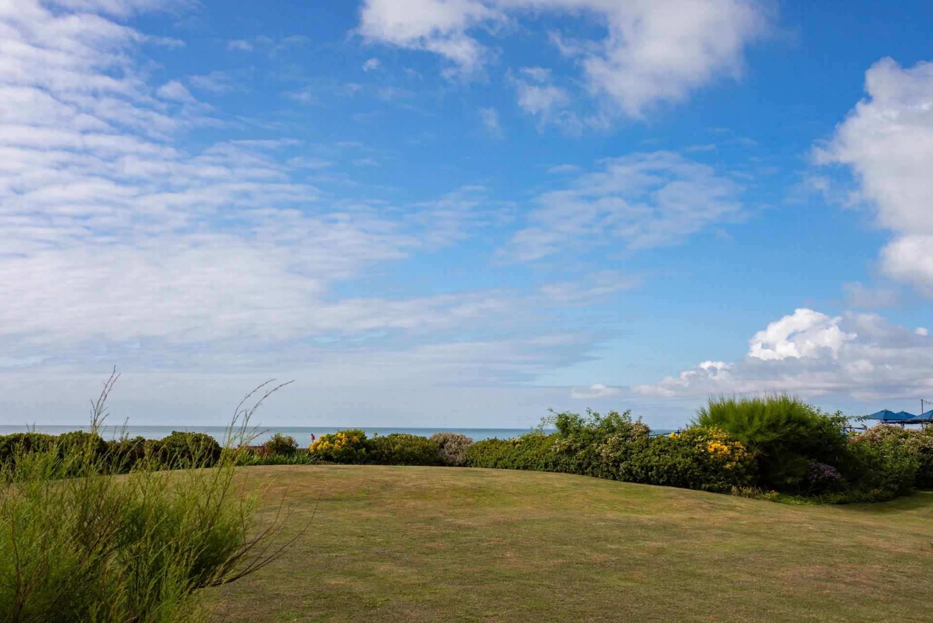 Over the gardens