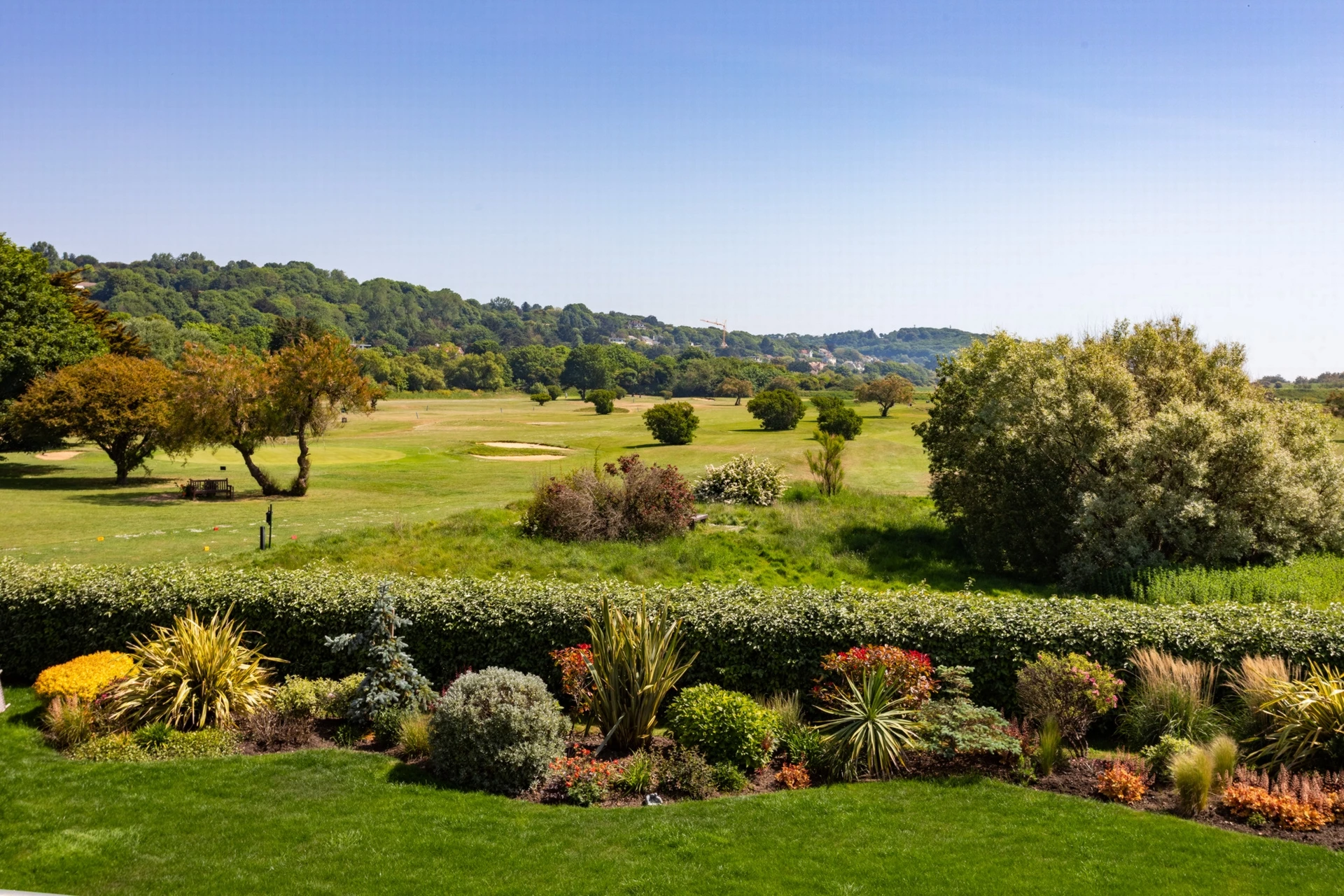 View over garden