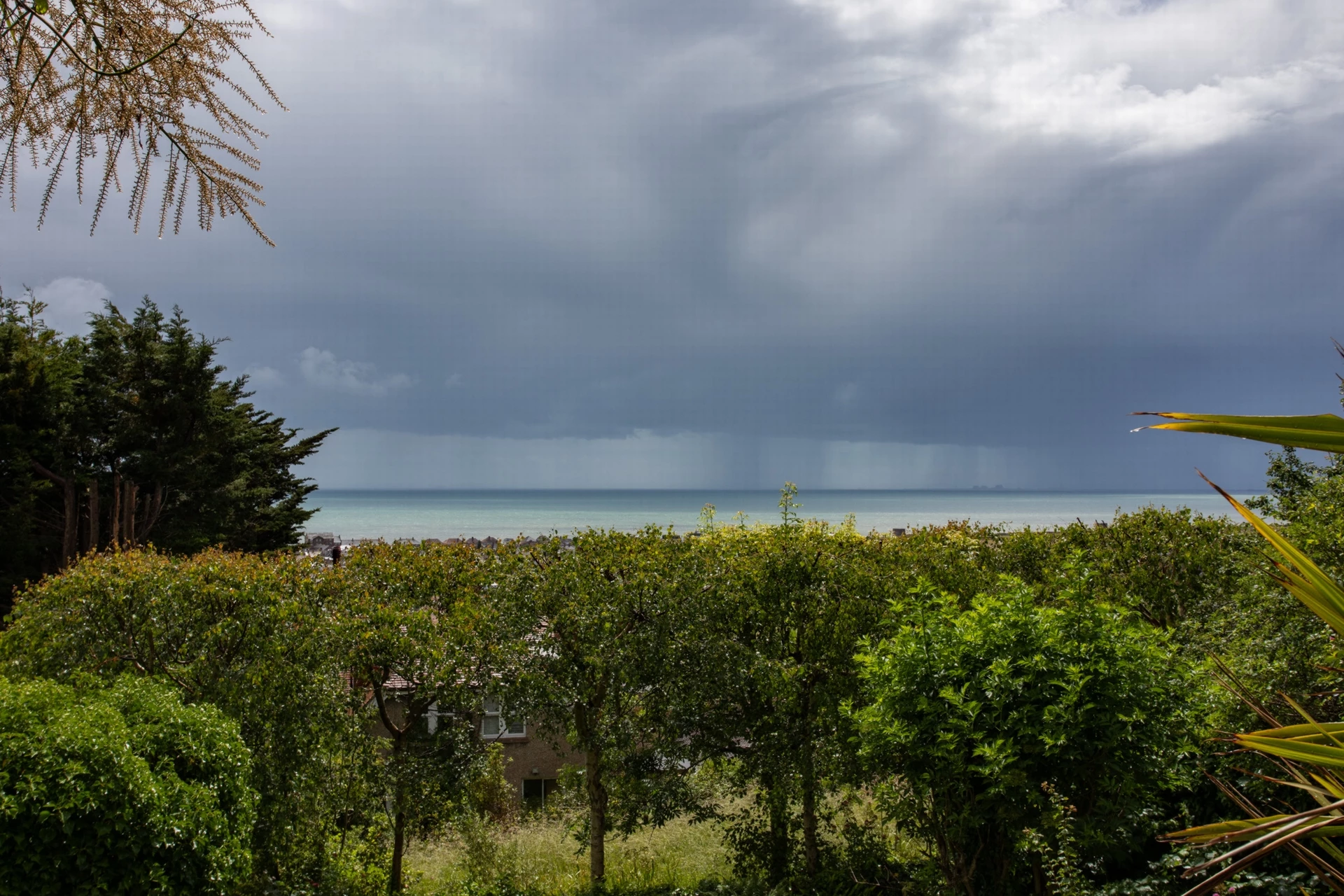 Garden views