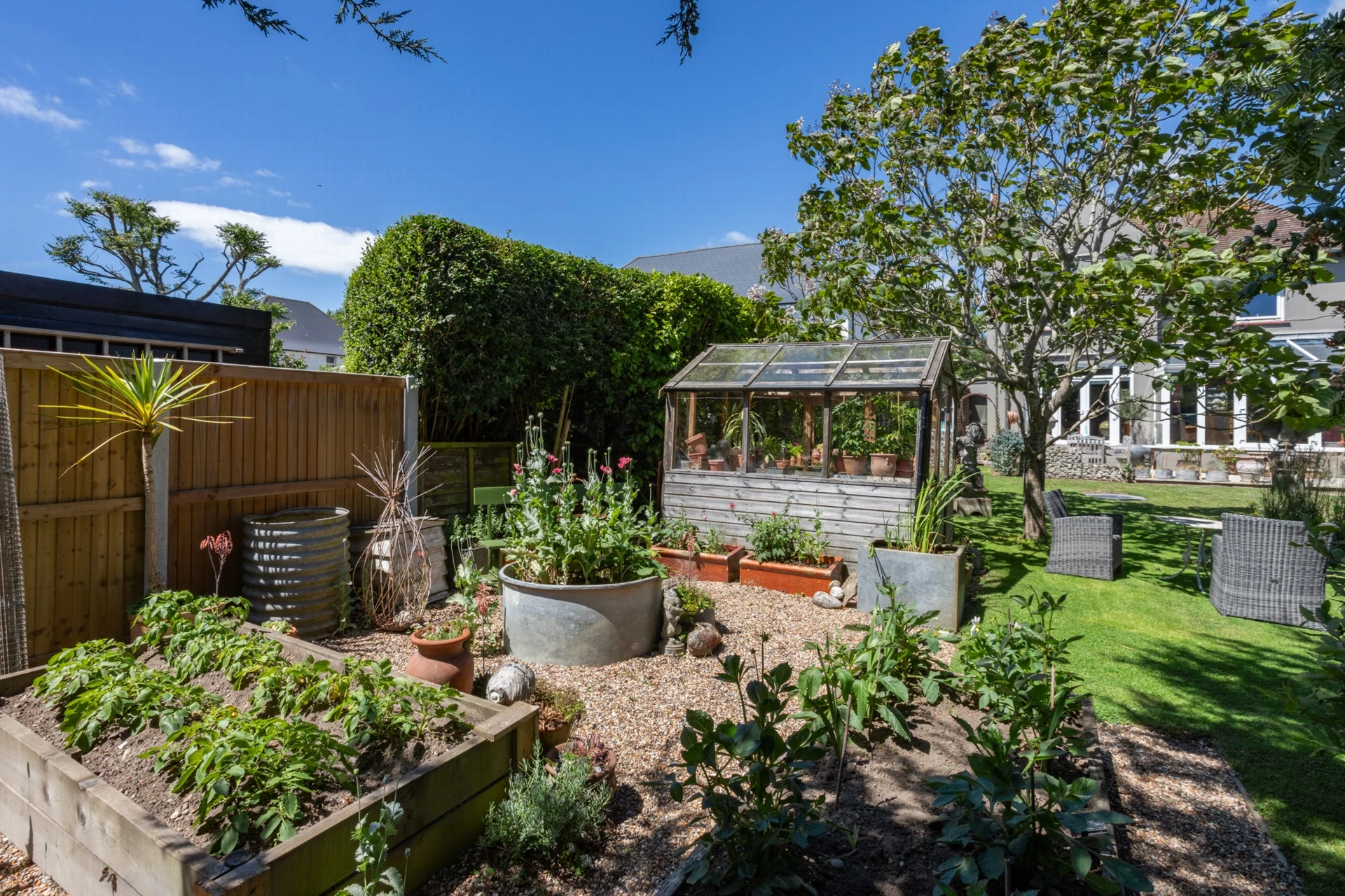 Vegetable garden