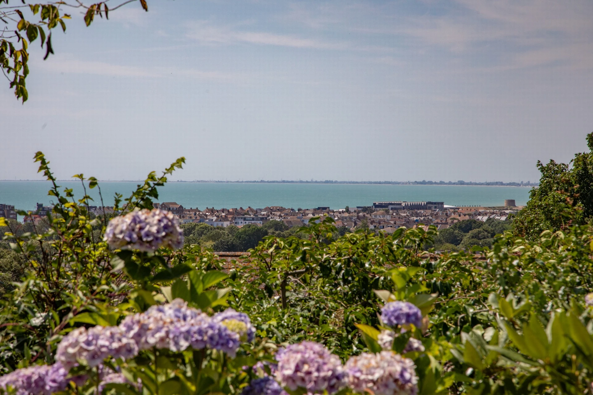 View