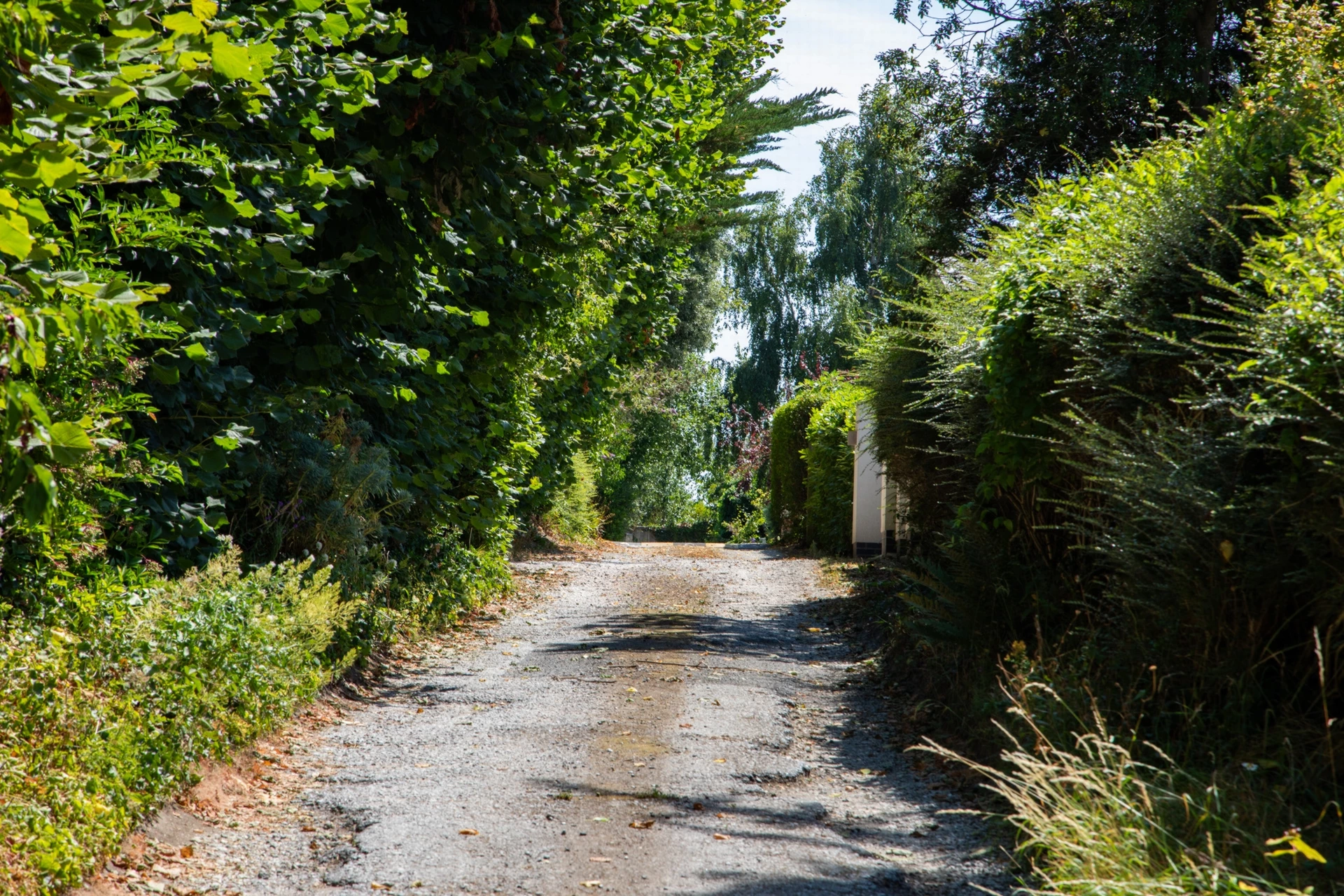 The lane