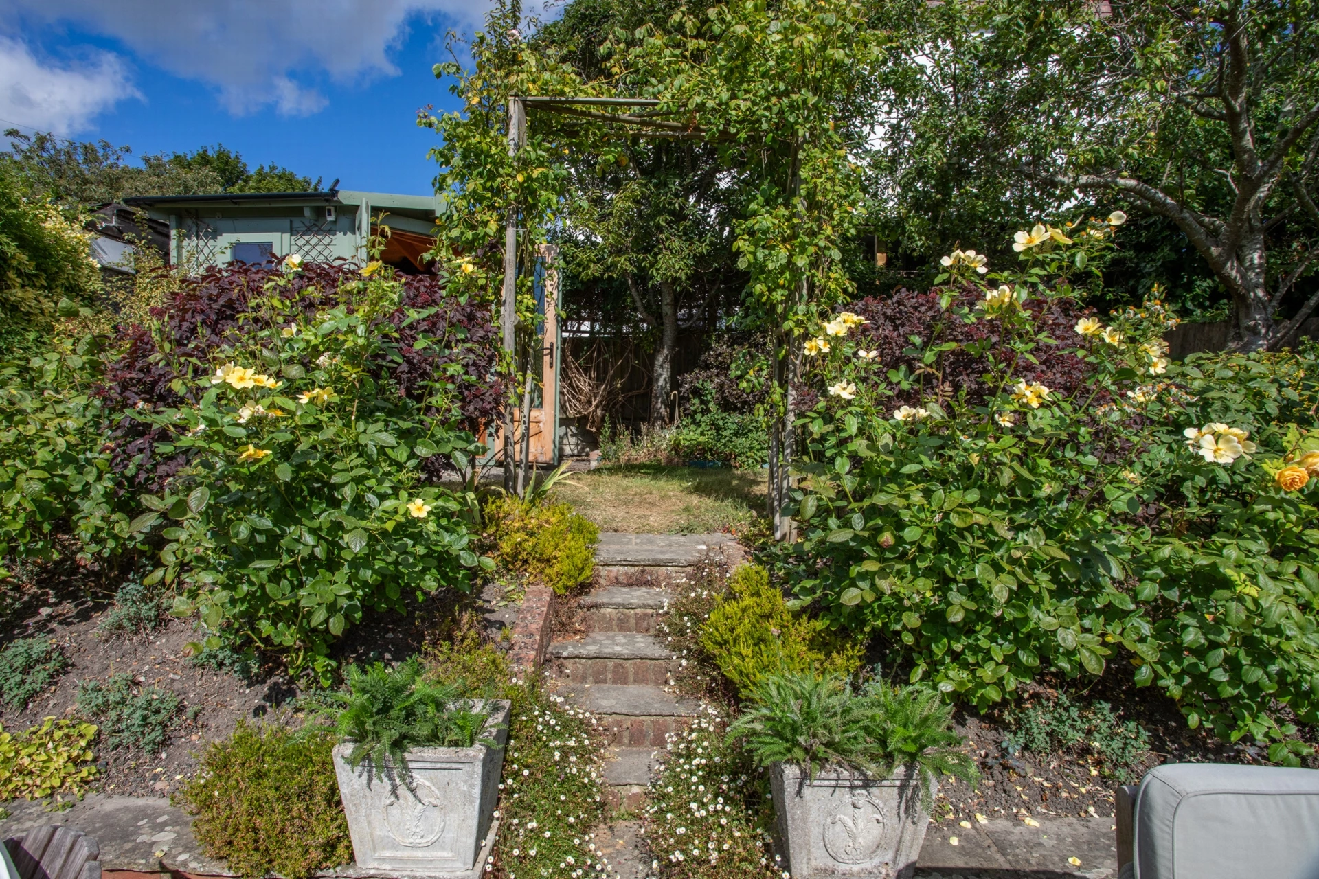 Garden